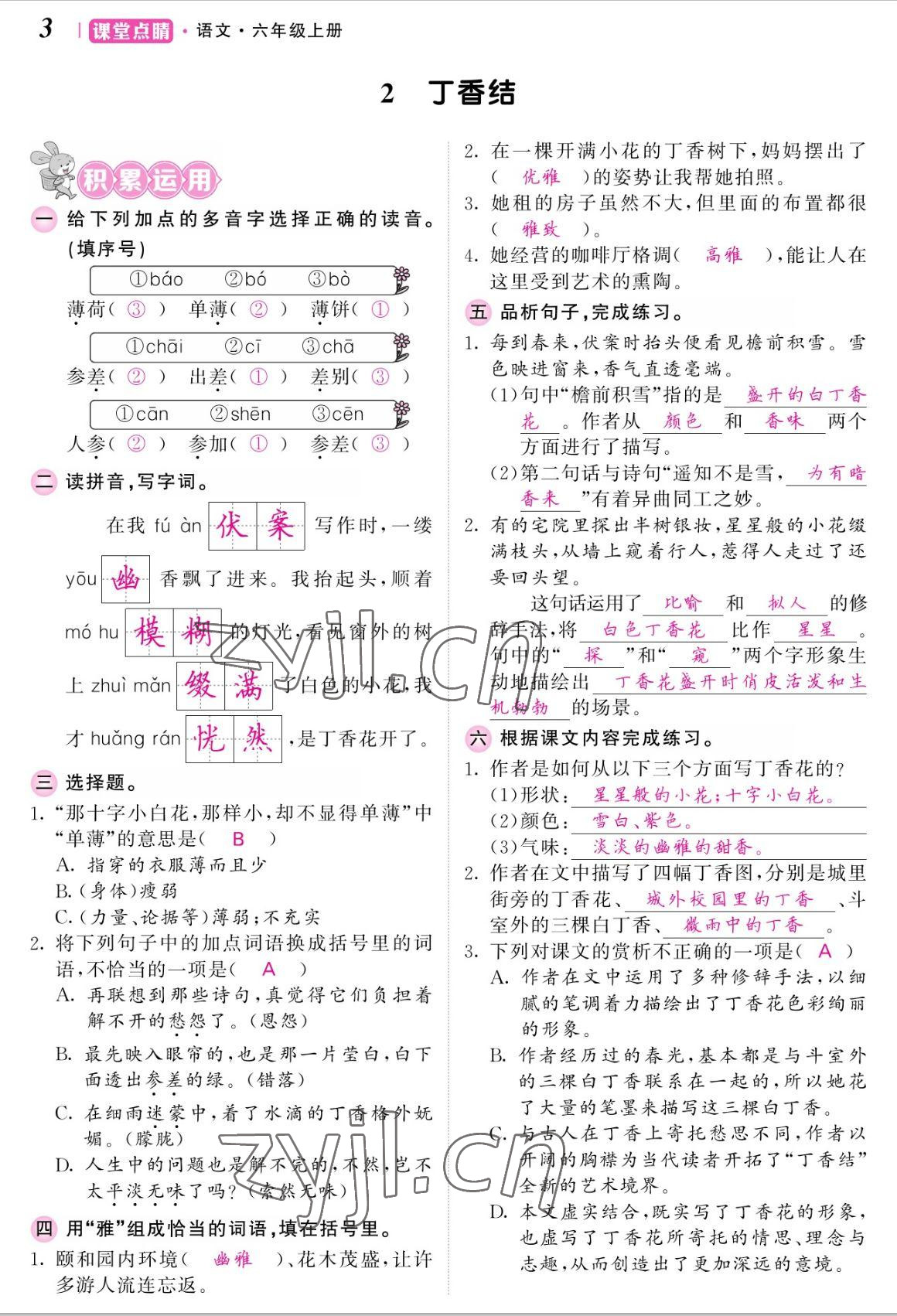 2022年课堂点睛六年级语文上册人教版湖南专版 参考答案第3页