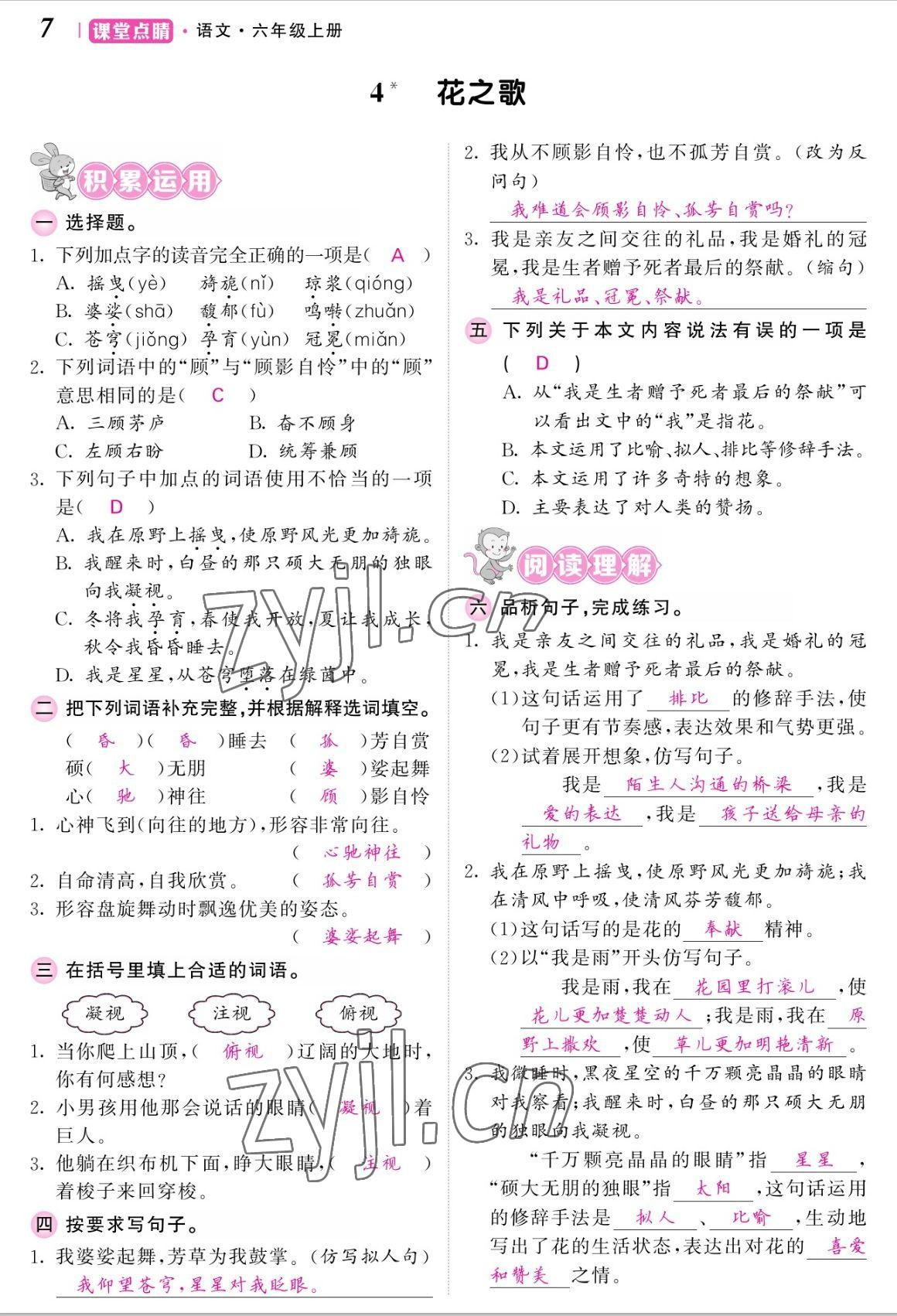 2022年课堂点睛六年级语文上册人教版湖南专版 参考答案第7页