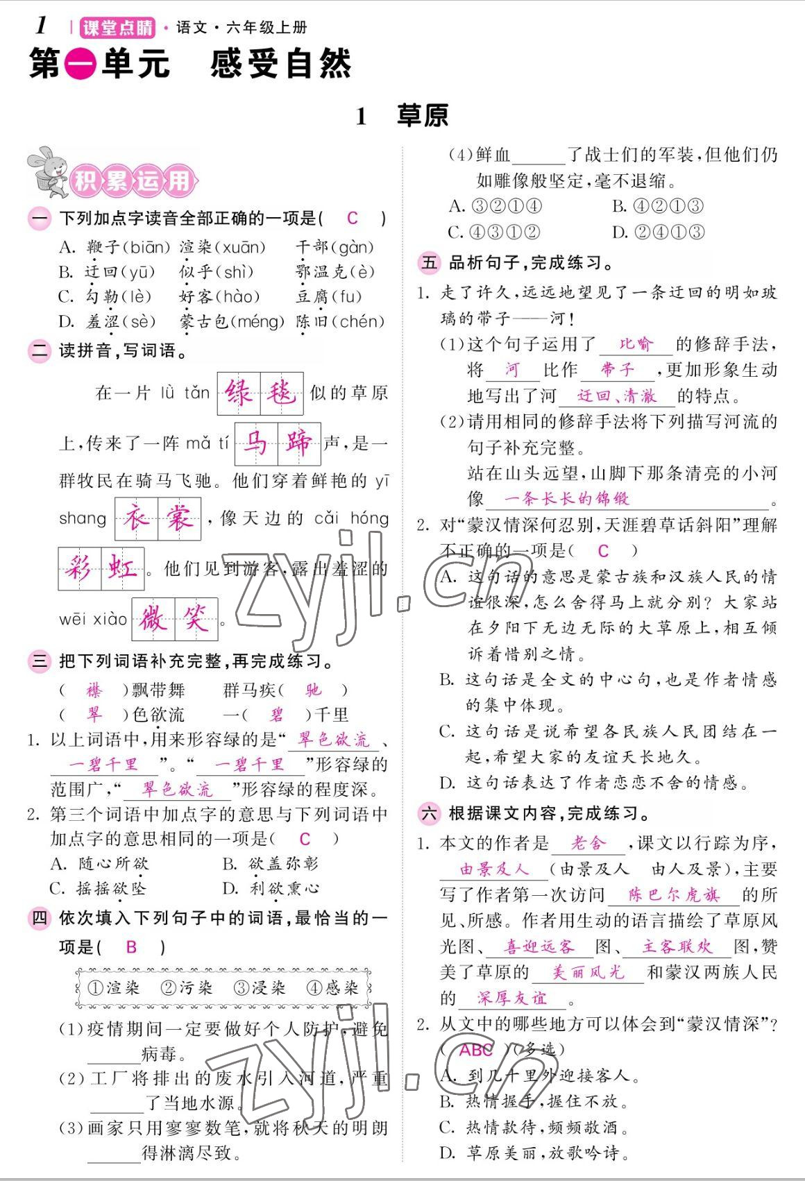 2022年課堂點睛六年級語文上冊人教版湖南專版 參考答案第1頁