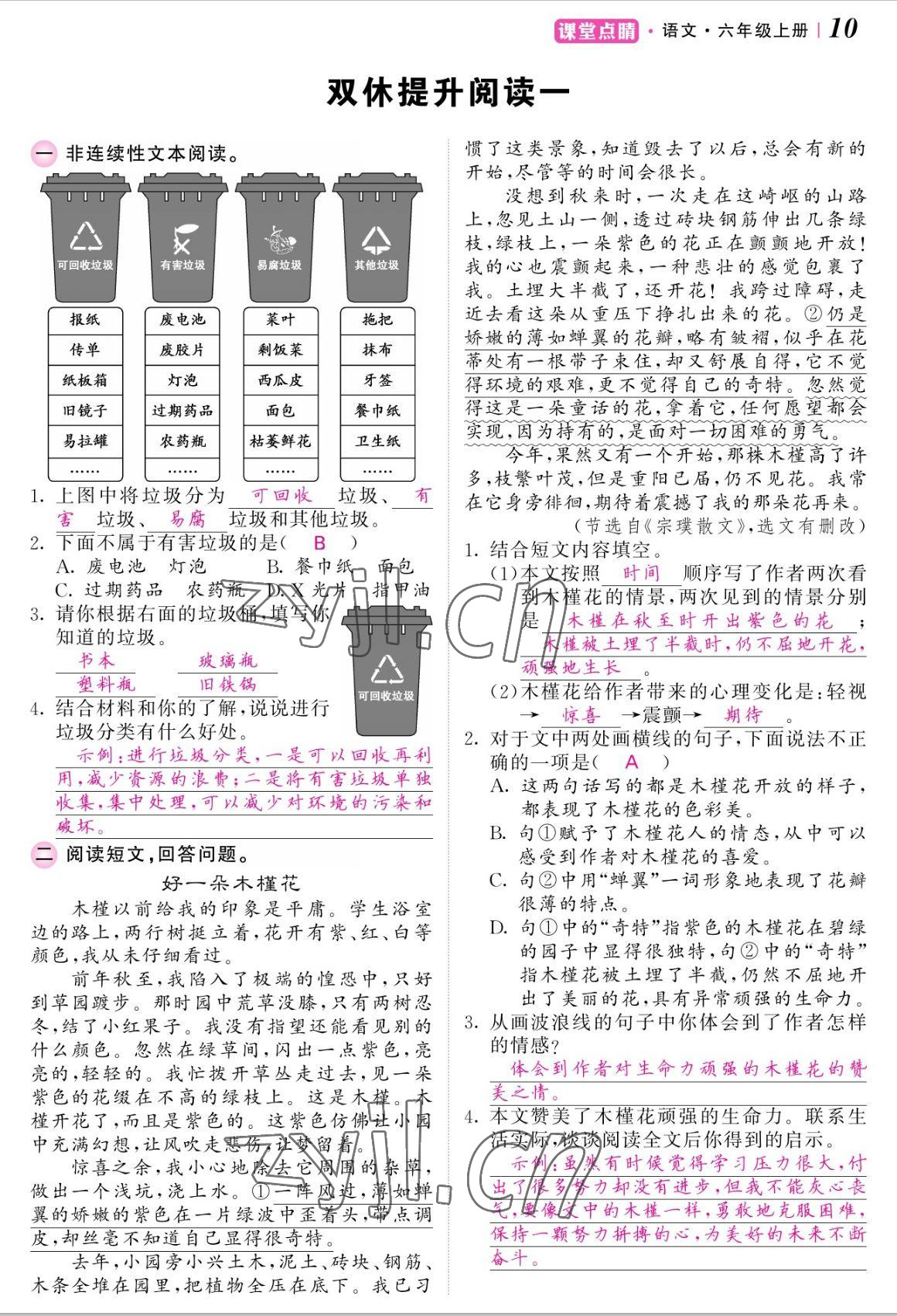 2022年课堂点睛六年级语文上册人教版湖南专版 参考答案第10页