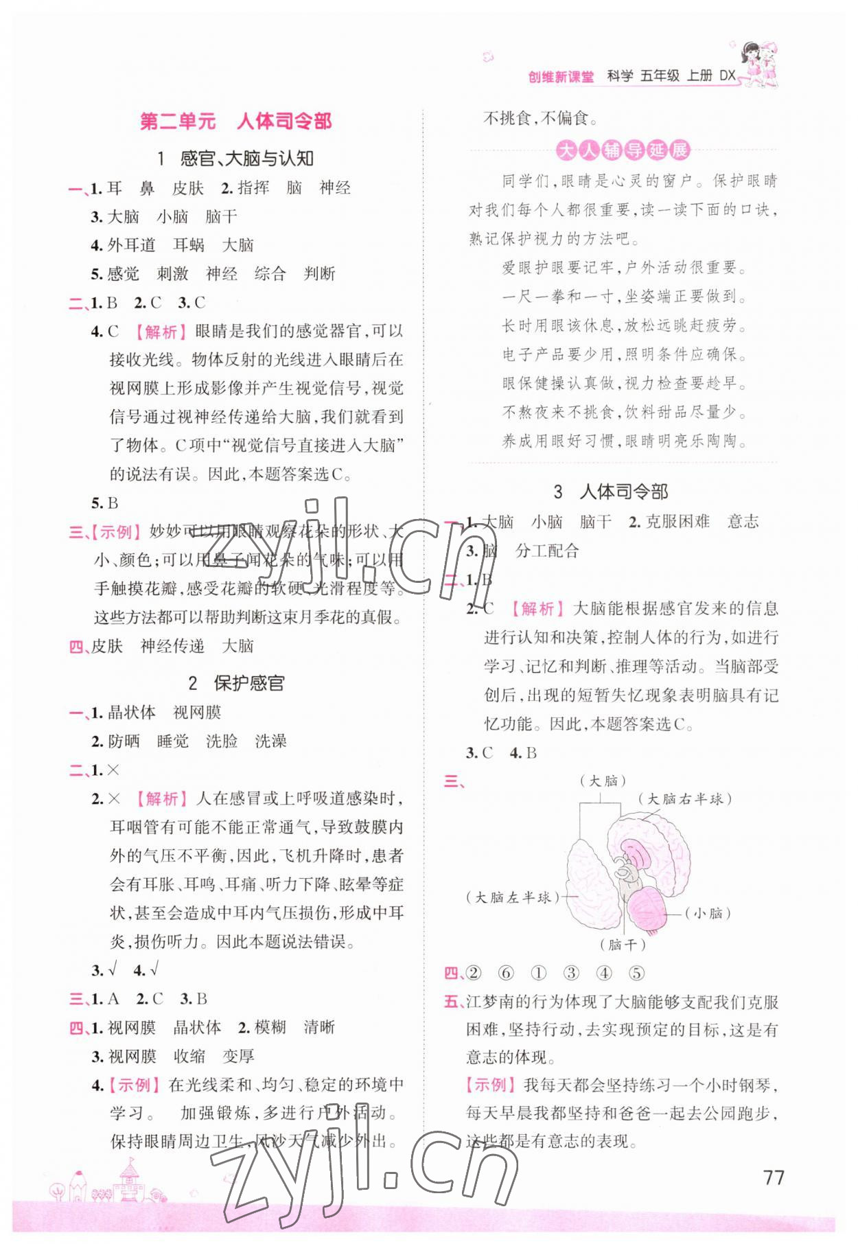 2022年創(chuàng)維新課堂五年級科學(xué)上冊大象版 參考答案第3頁