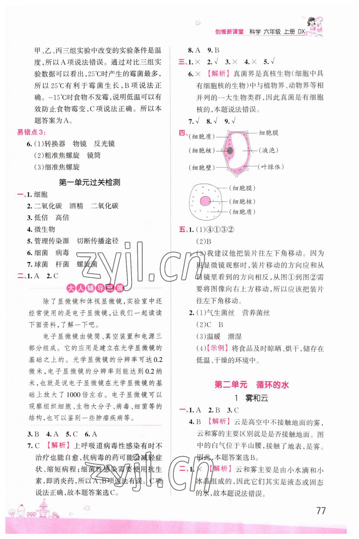 2022年創(chuàng)維新課堂六年級(jí)科學(xué)上冊(cè)大象版 參考答案第3頁(yè)