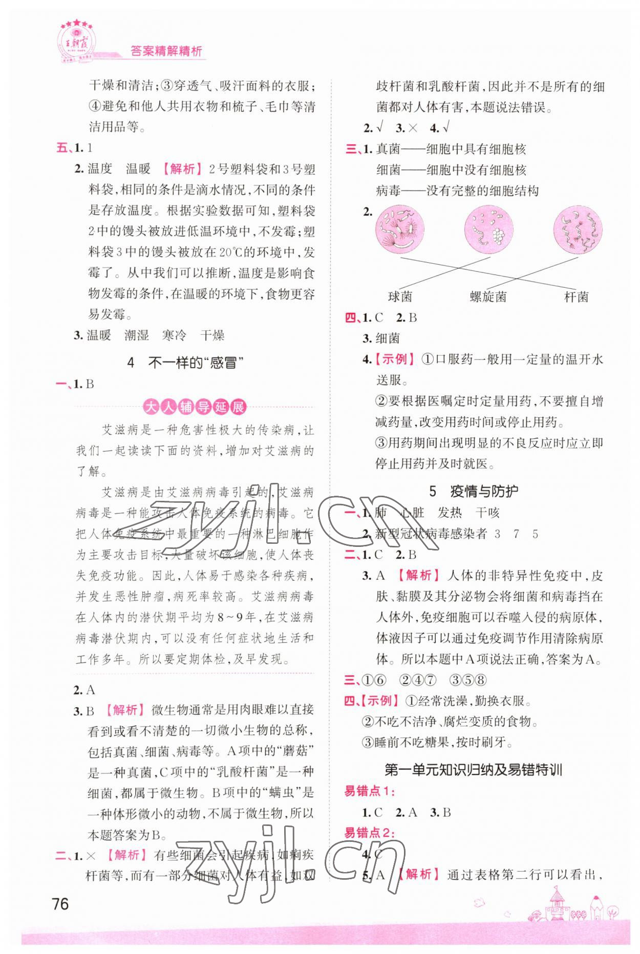 2022年創(chuàng)維新課堂六年級(jí)科學(xué)上冊(cè)大象版 參考答案第2頁(yè)