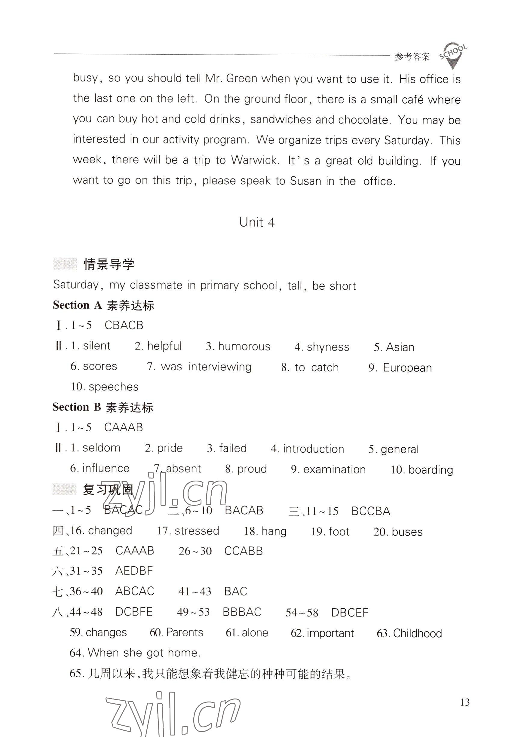 2022年新课程问题解决导学方案九年级英语全一册人教版 第13页