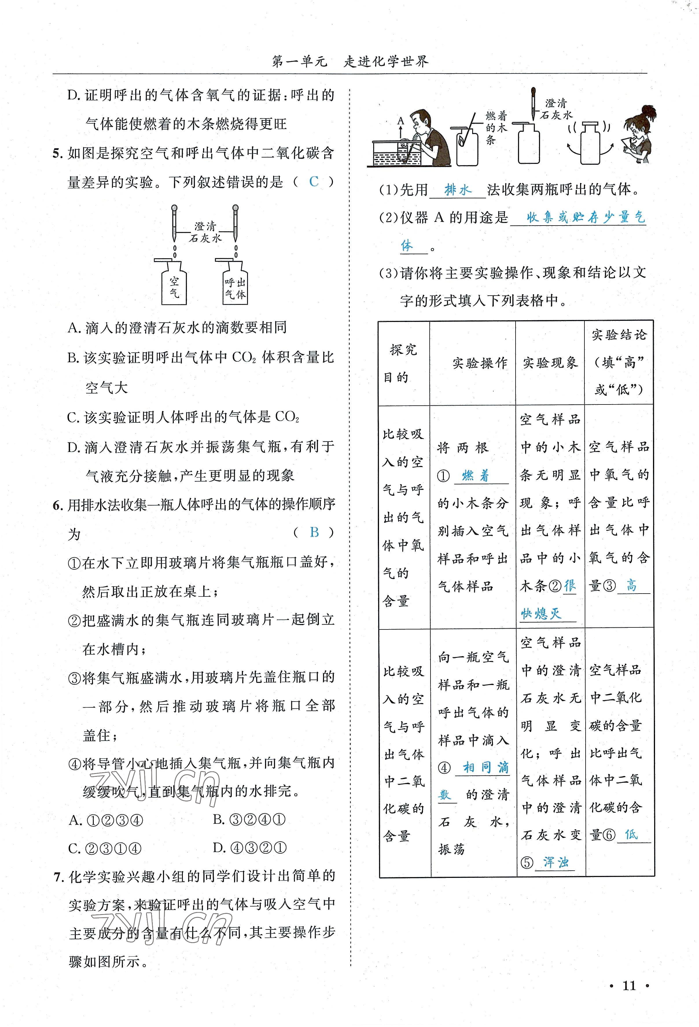 2022年蓉城學霸九年級化學上冊人教版 參考答案第11頁