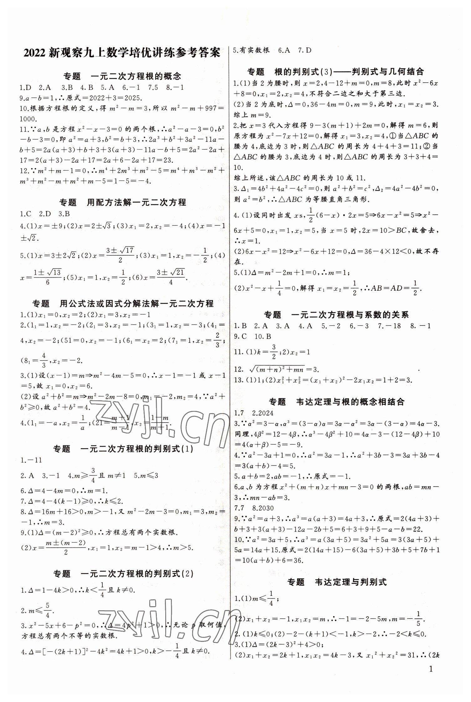 2022年新课堂新观察培优讲练九年级数学全一册人教版 第1页