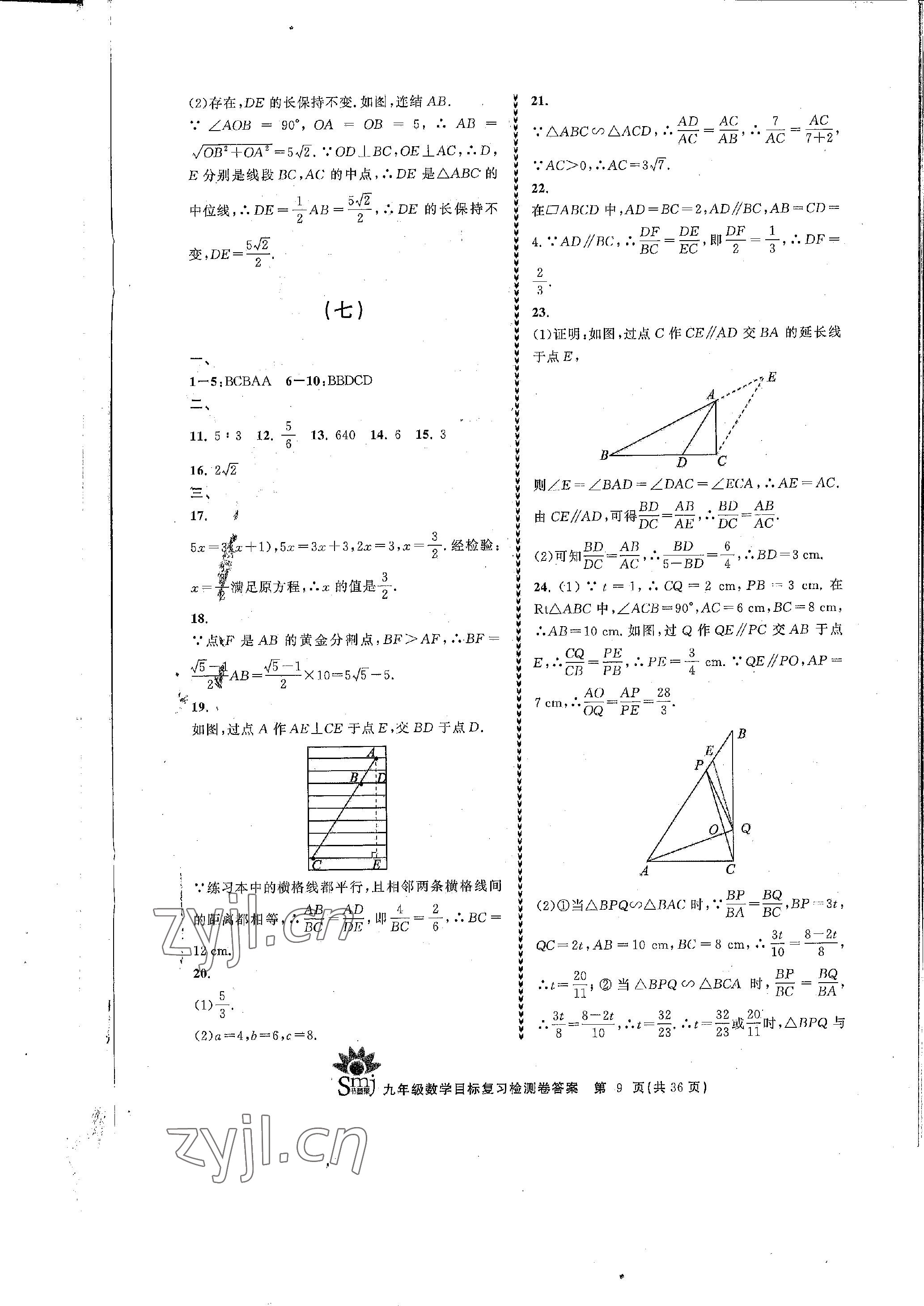 2022年目標復習檢測卷九年級數(shù)學全一冊浙教版 參考答案第9頁