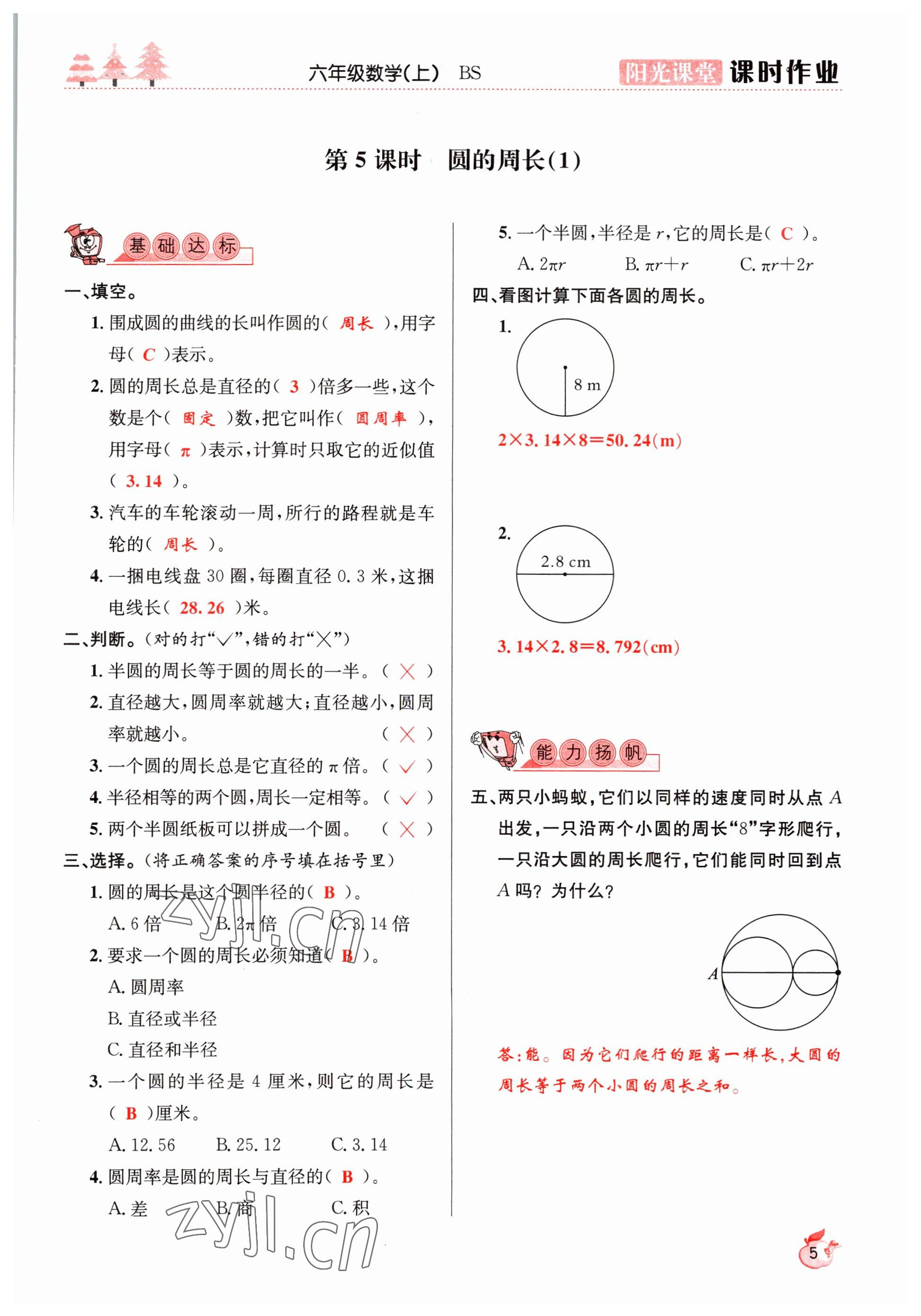 2022年阳光课堂课时作业六年级数学上册北师大版 参考答案第5页