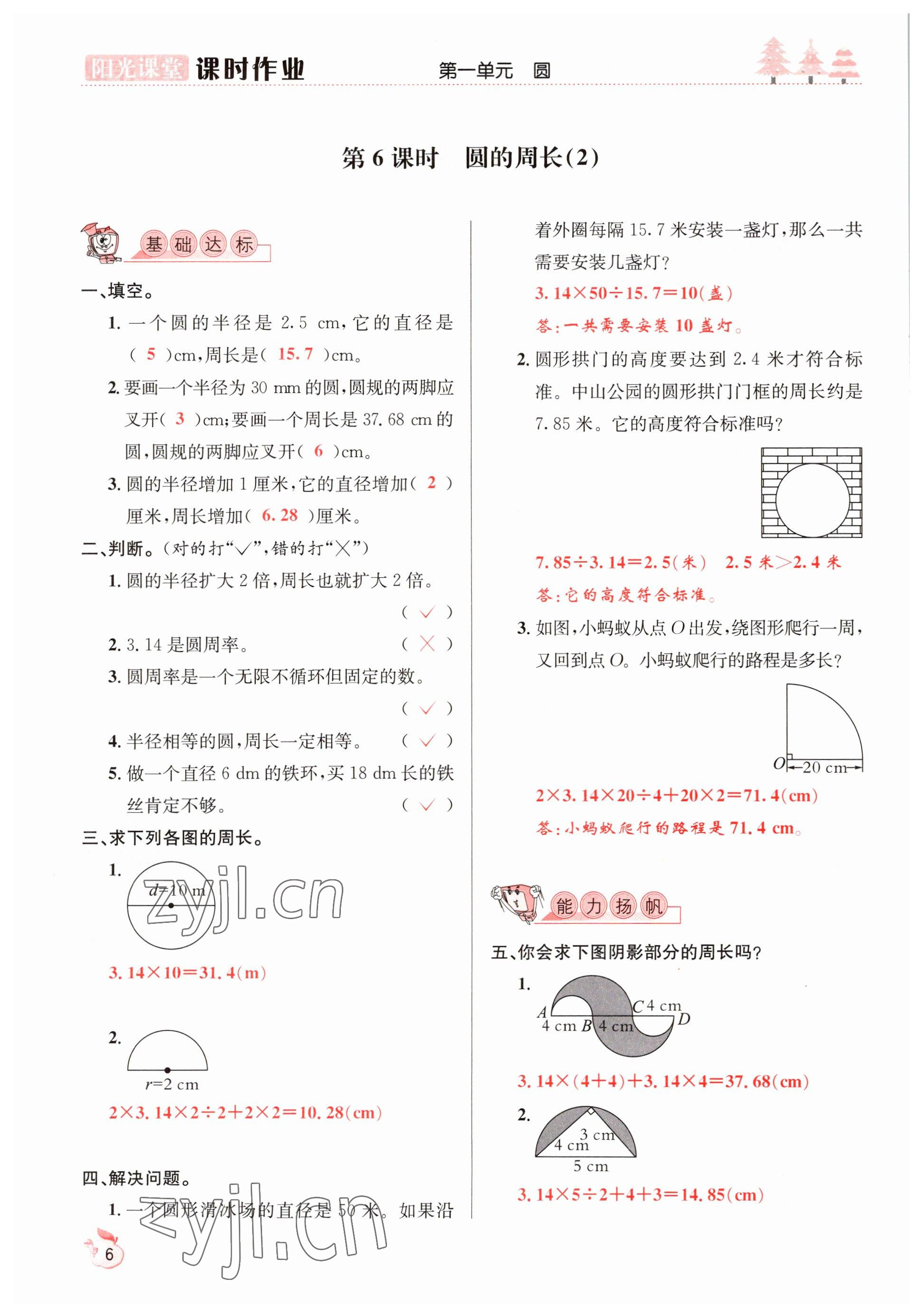 2022年阳光课堂课时作业六年级数学上册北师大版 参考答案第6页