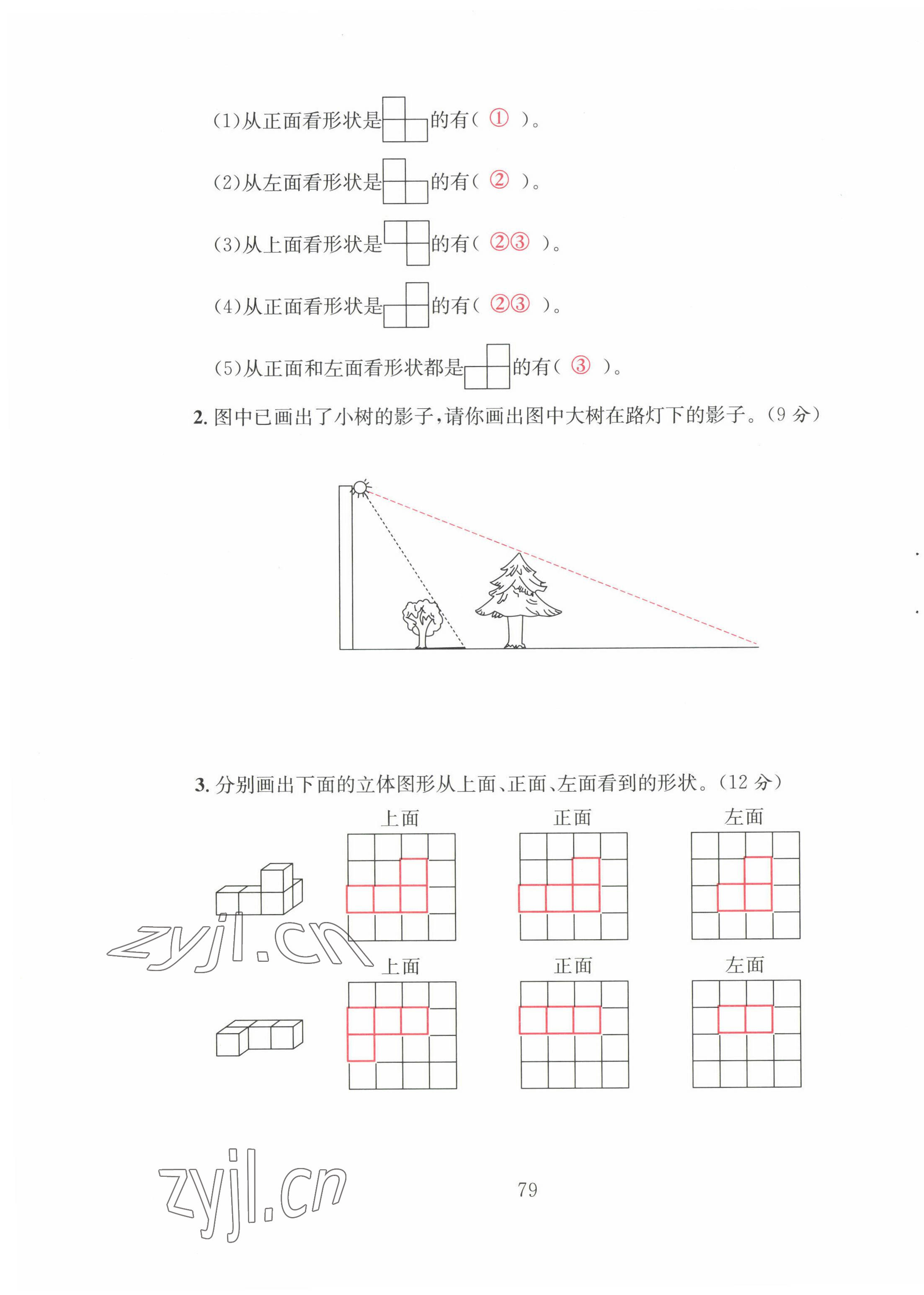 2022年阳光课堂课时作业六年级数学上册北师大版 第11页