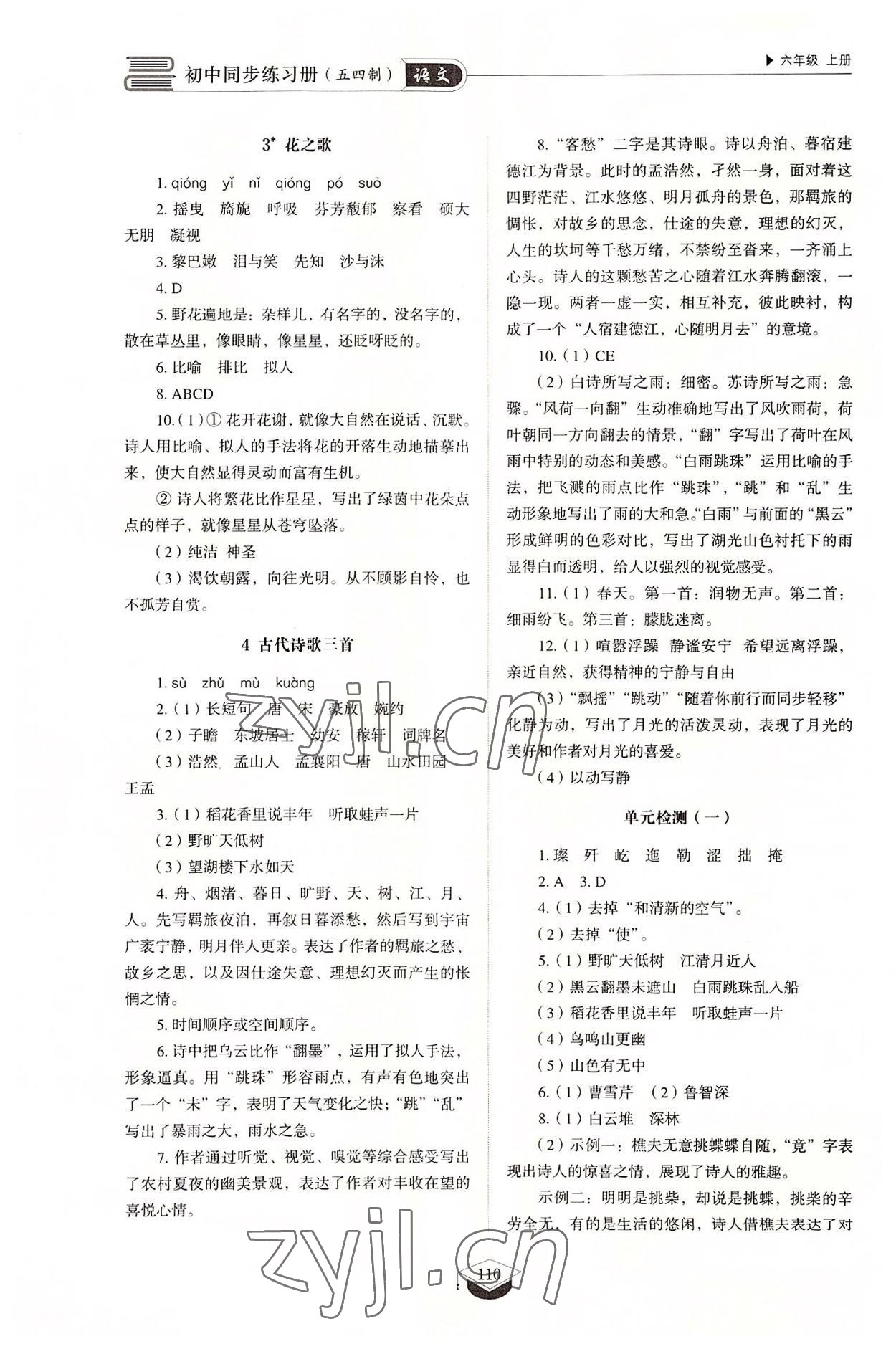 2022年同步练习册山东教育出版社六年级语文上册人教版五四制 参考答案第2页