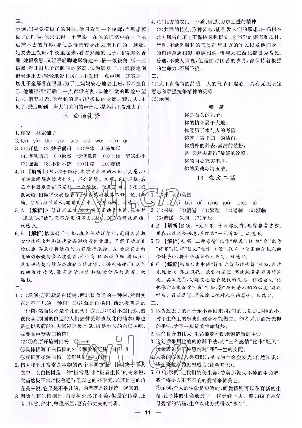 2022年考點(diǎn)專練八年級(jí)語文上冊(cè)人教版深圳專版 第11頁(yè)