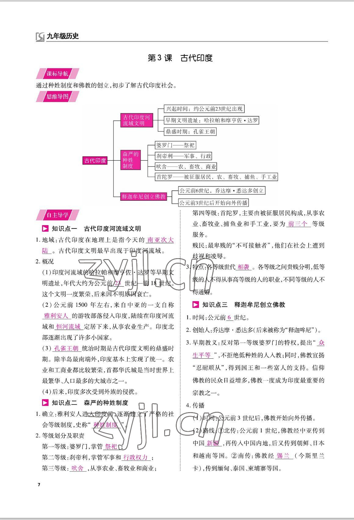 2022年我的作業(yè)九年級歷史上冊人教版 參考答案第10頁