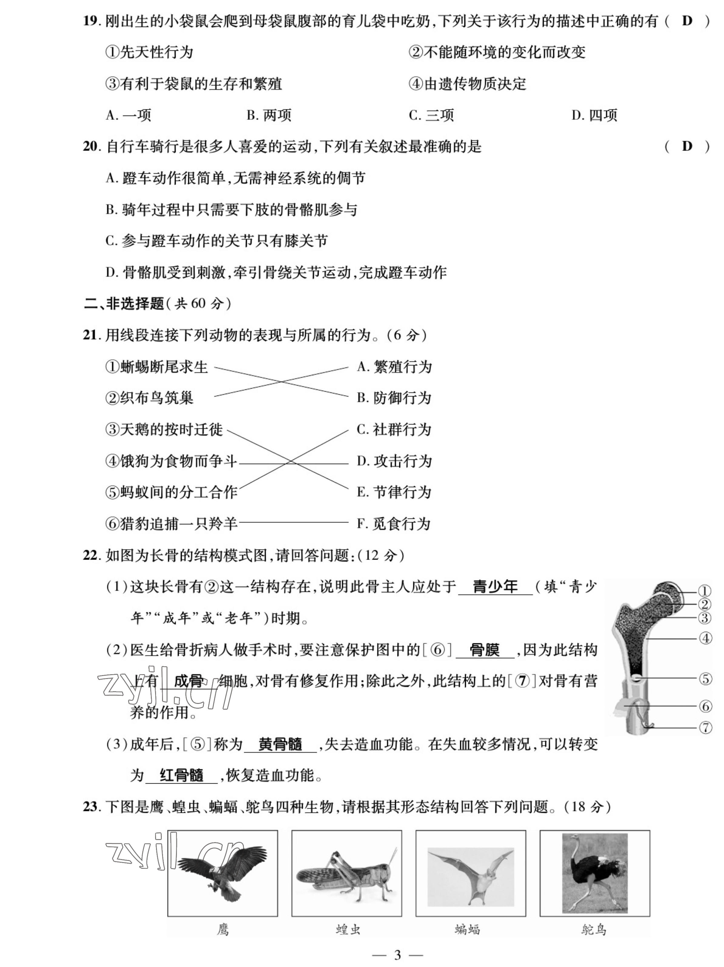 2022年我的作業(yè)八年級生物上冊北師大版 參考答案第3頁