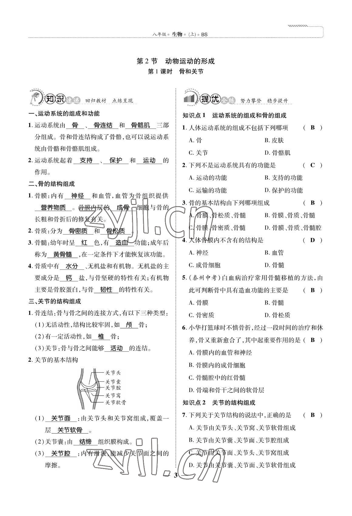 2022年我的作業(yè)八年級生物上冊北師大版 參考答案第3頁