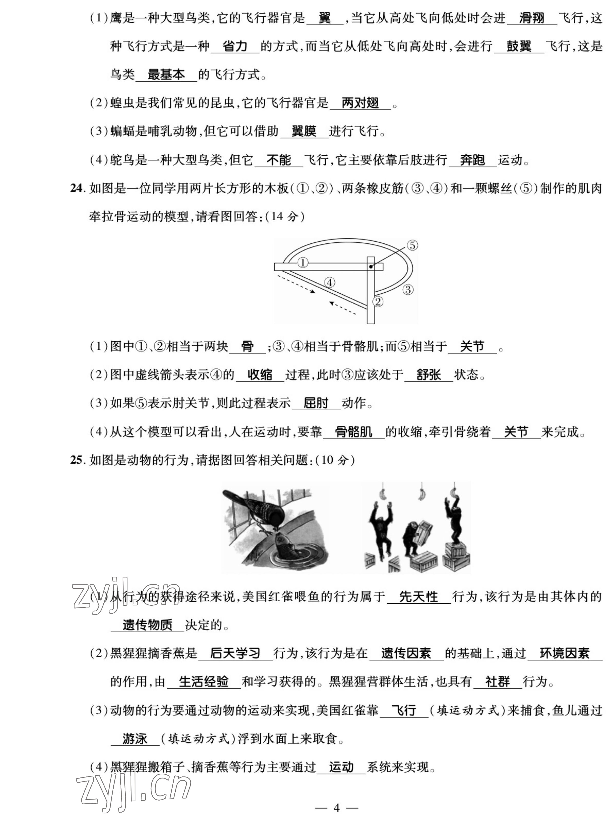 2022年我的作業(yè)八年級生物上冊北師大版 參考答案第4頁