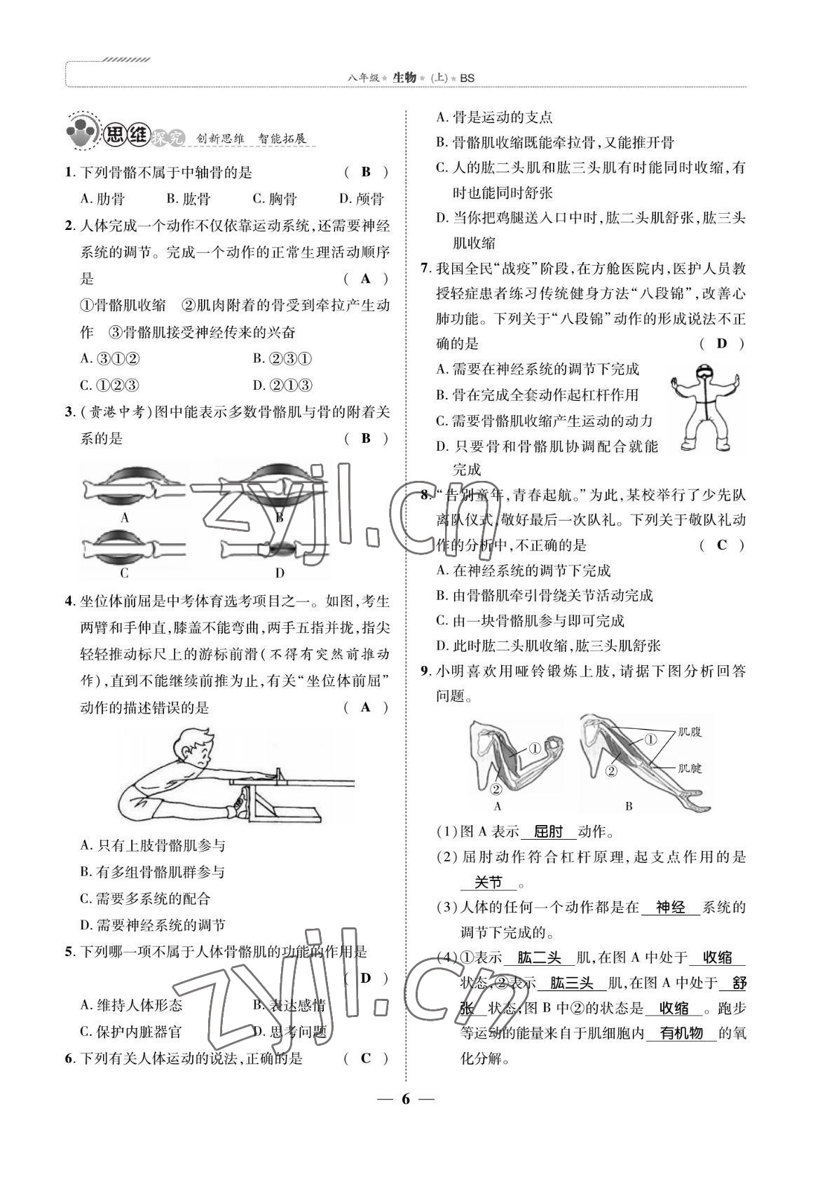 2022年我的作業(yè)八年級(jí)生物上冊(cè)北師大版 參考答案第6頁(yè)