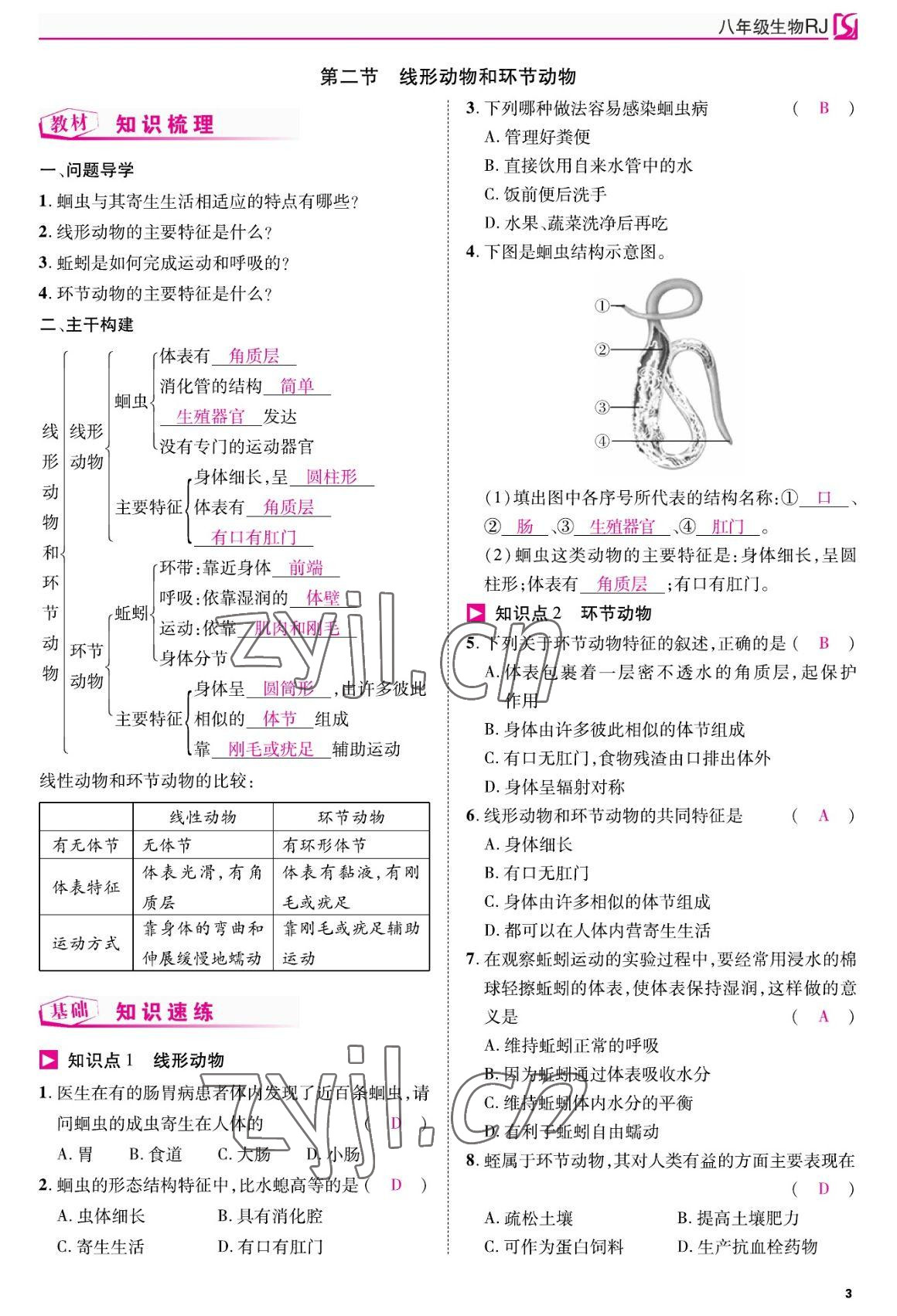 2022年我的作業(yè)八年級生物上冊人教版 參考答案第3頁