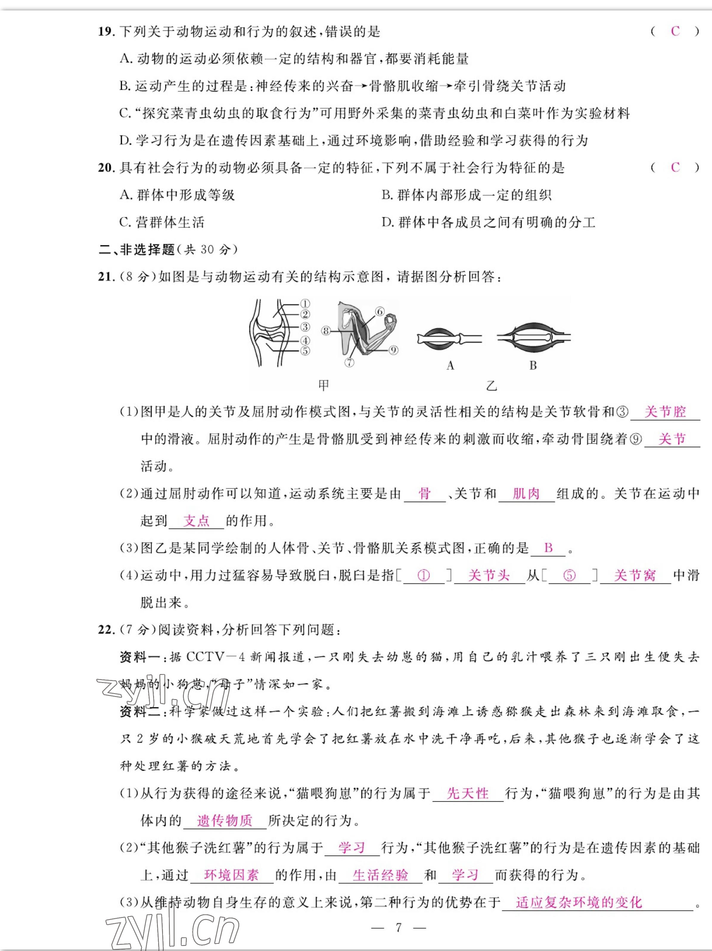 2022年我的作业八年级生物上册人教版 参考答案第7页