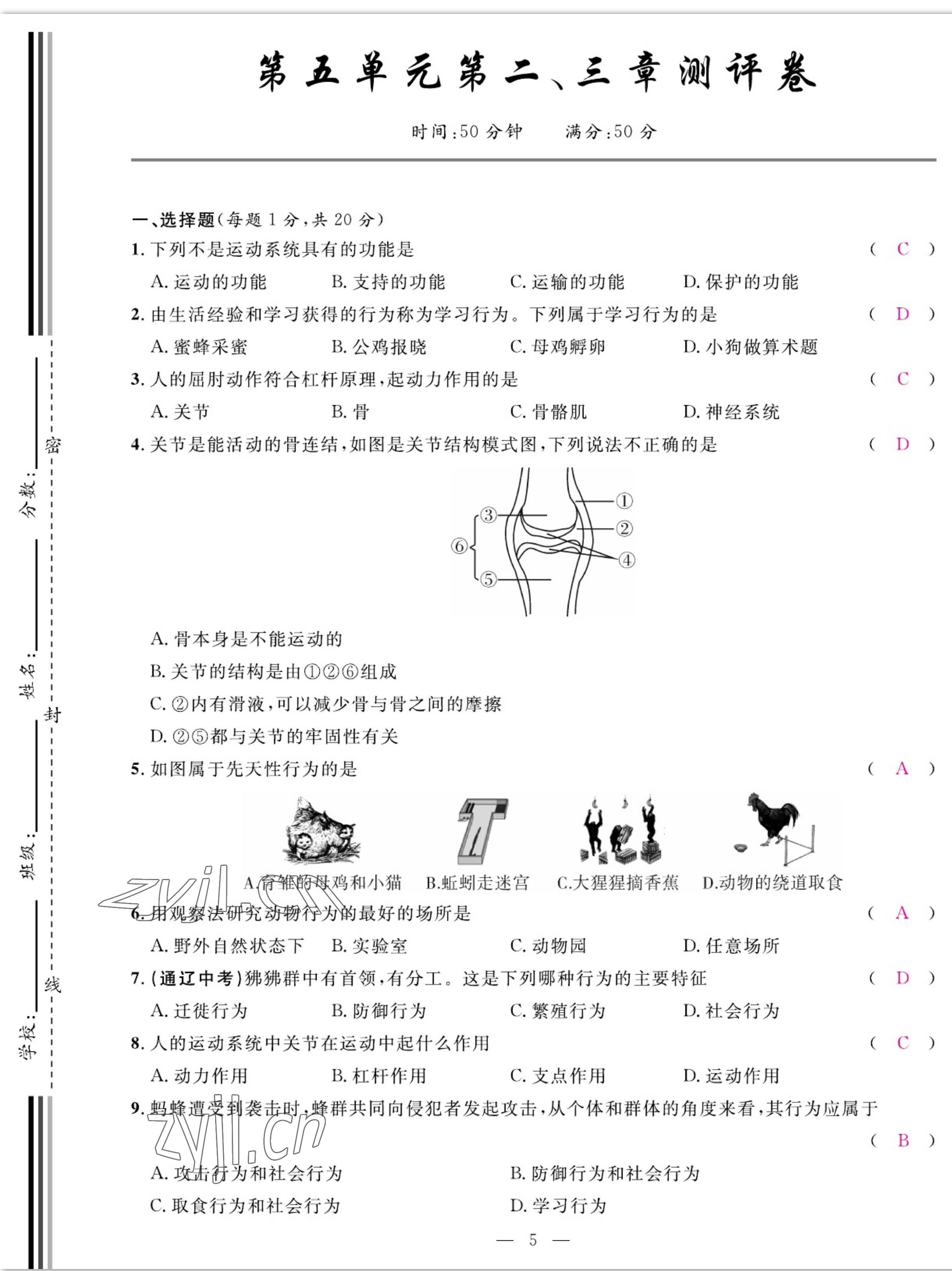 2022年我的作業(yè)八年級(jí)生物上冊(cè)人教版 參考答案第5頁(yè)