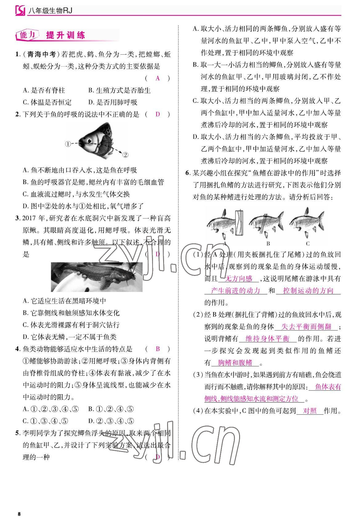 2022年我的作業(yè)八年級(jí)生物上冊人教版 參考答案第8頁