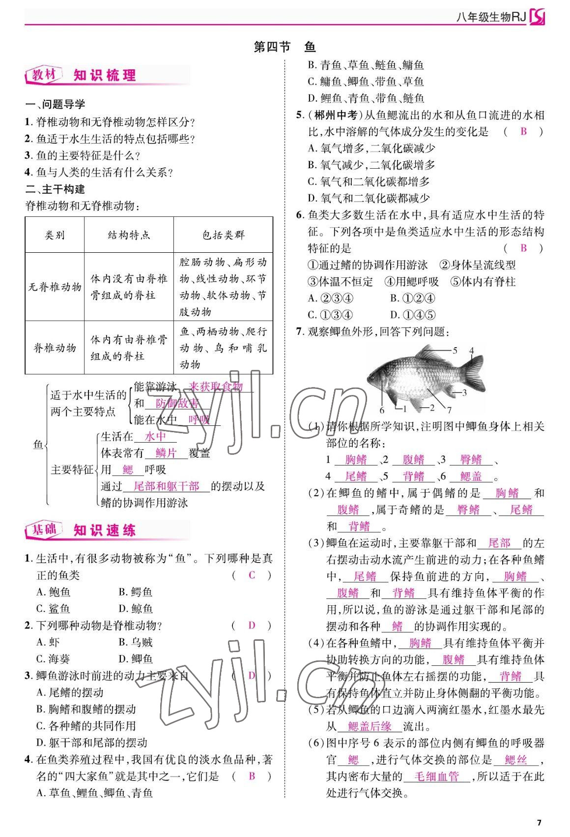 2022年我的作業(yè)八年級生物上冊人教版 參考答案第7頁