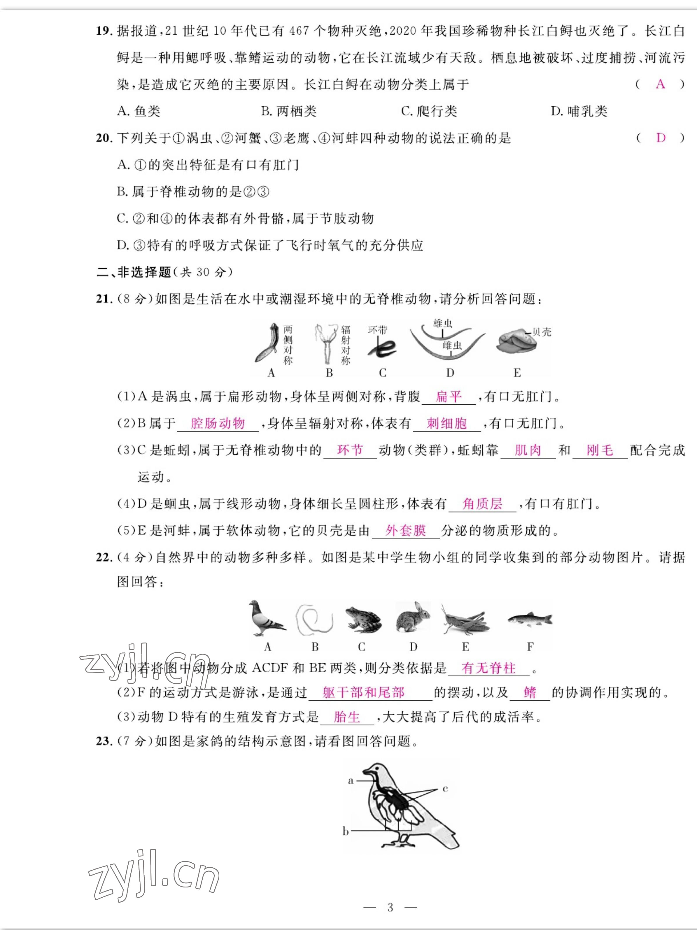 2022年我的作業(yè)八年級生物上冊人教版 參考答案第3頁