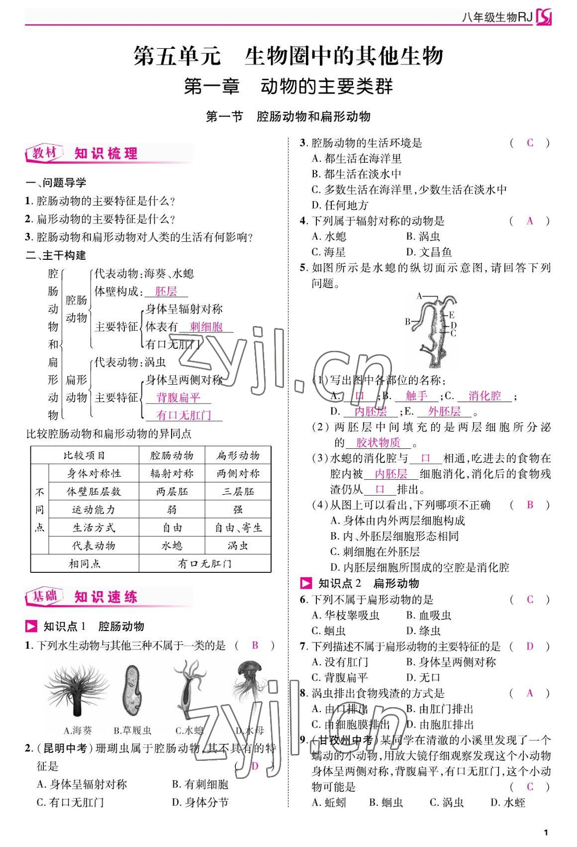 2022年我的作業(yè)八年級生物上冊人教版 參考答案第1頁