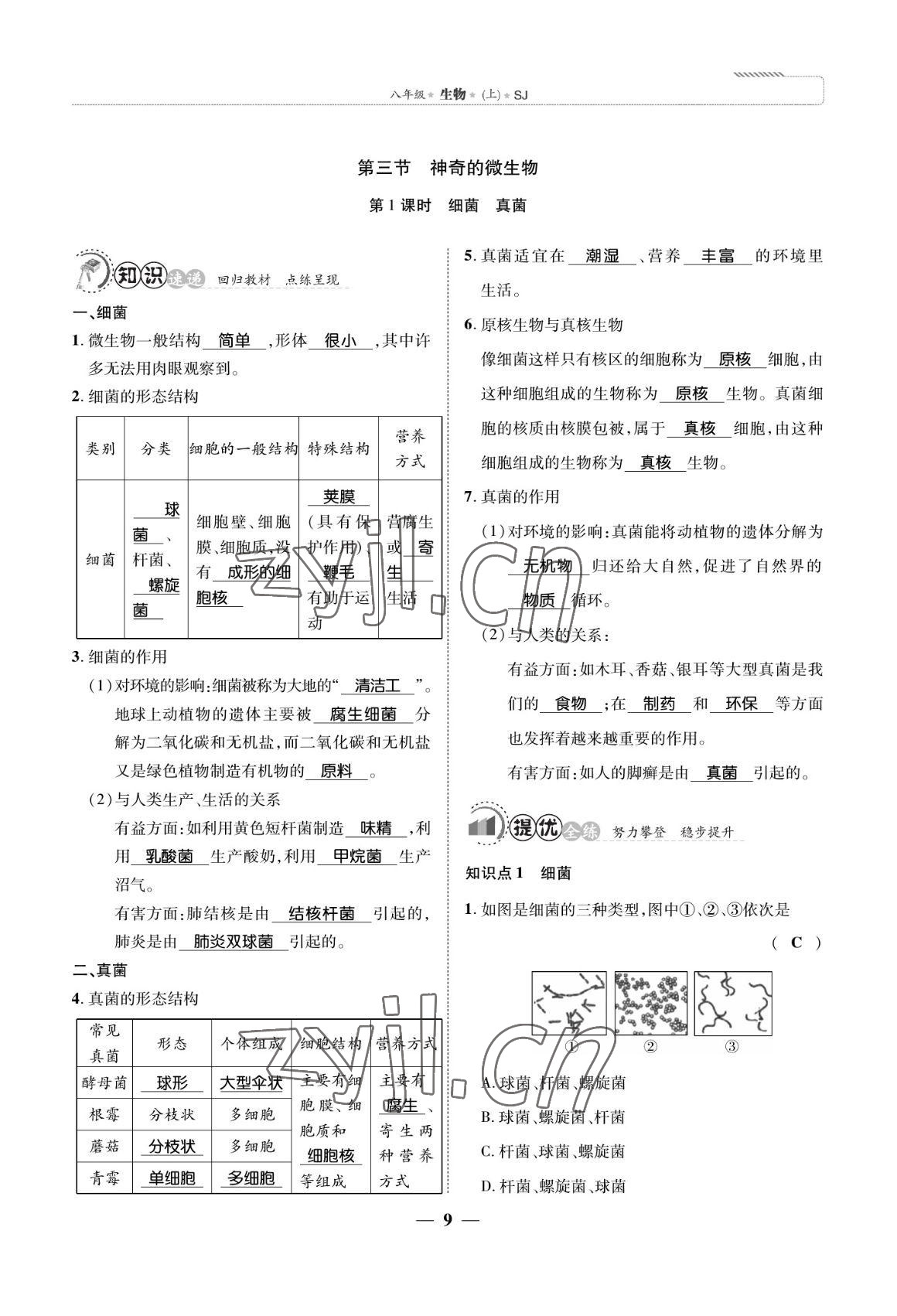 2022年我的作業(yè)八年級生物上冊蘇教版 參考答案第9頁