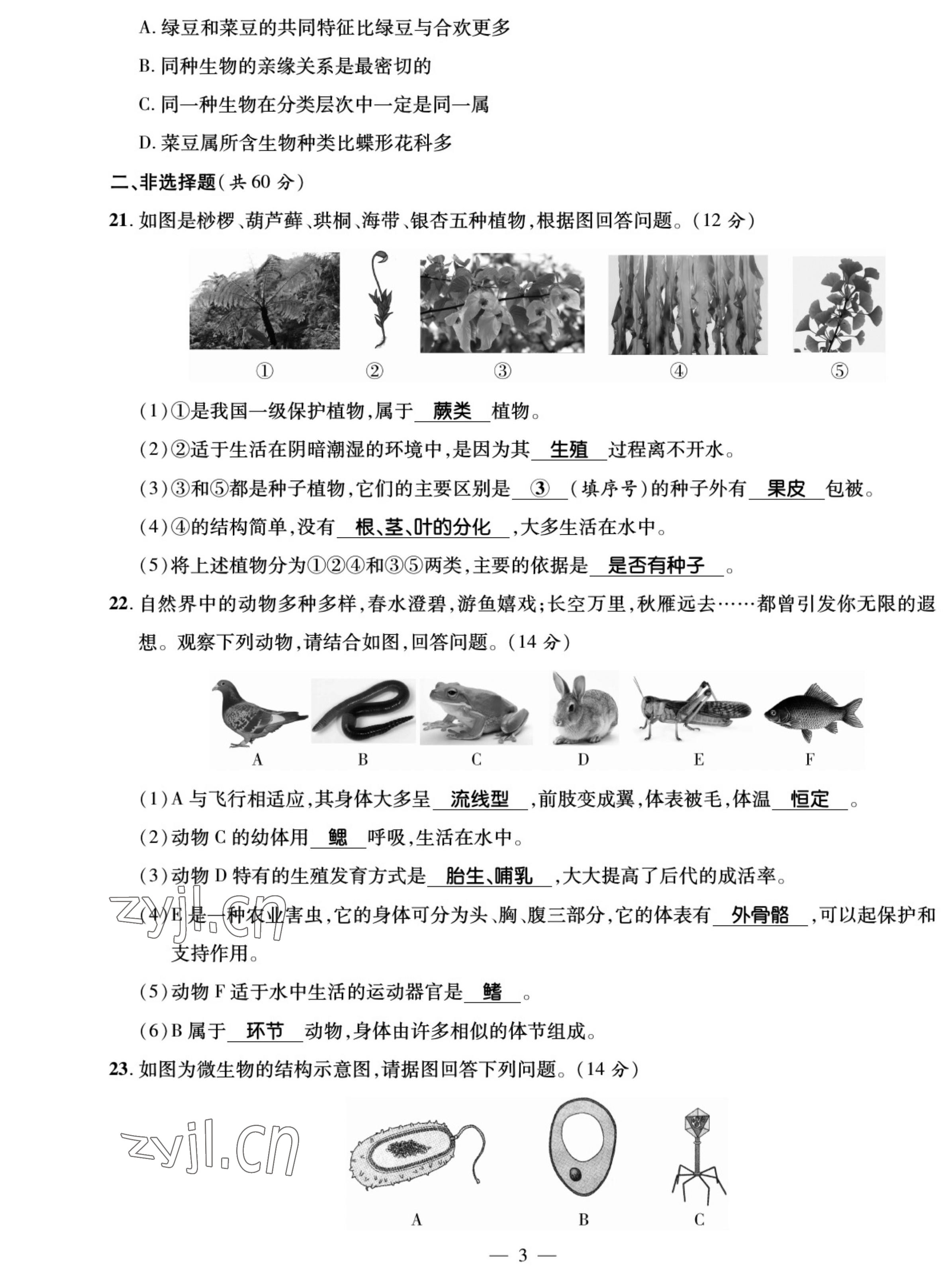 2022年我的作業(yè)八年級(jí)生物上冊蘇教版 參考答案第3頁