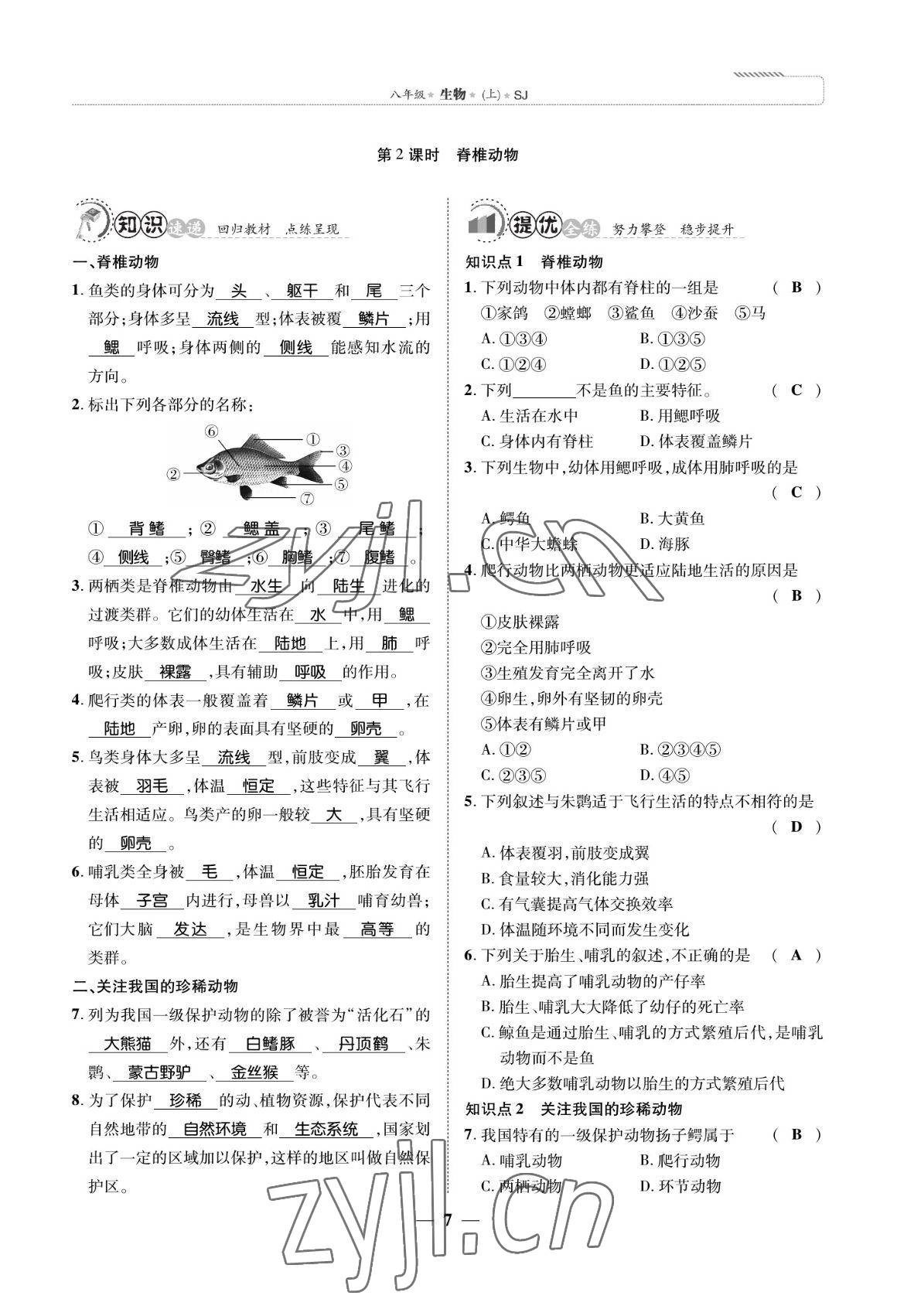 2022年我的作業(yè)八年級生物上冊蘇教版 參考答案第7頁