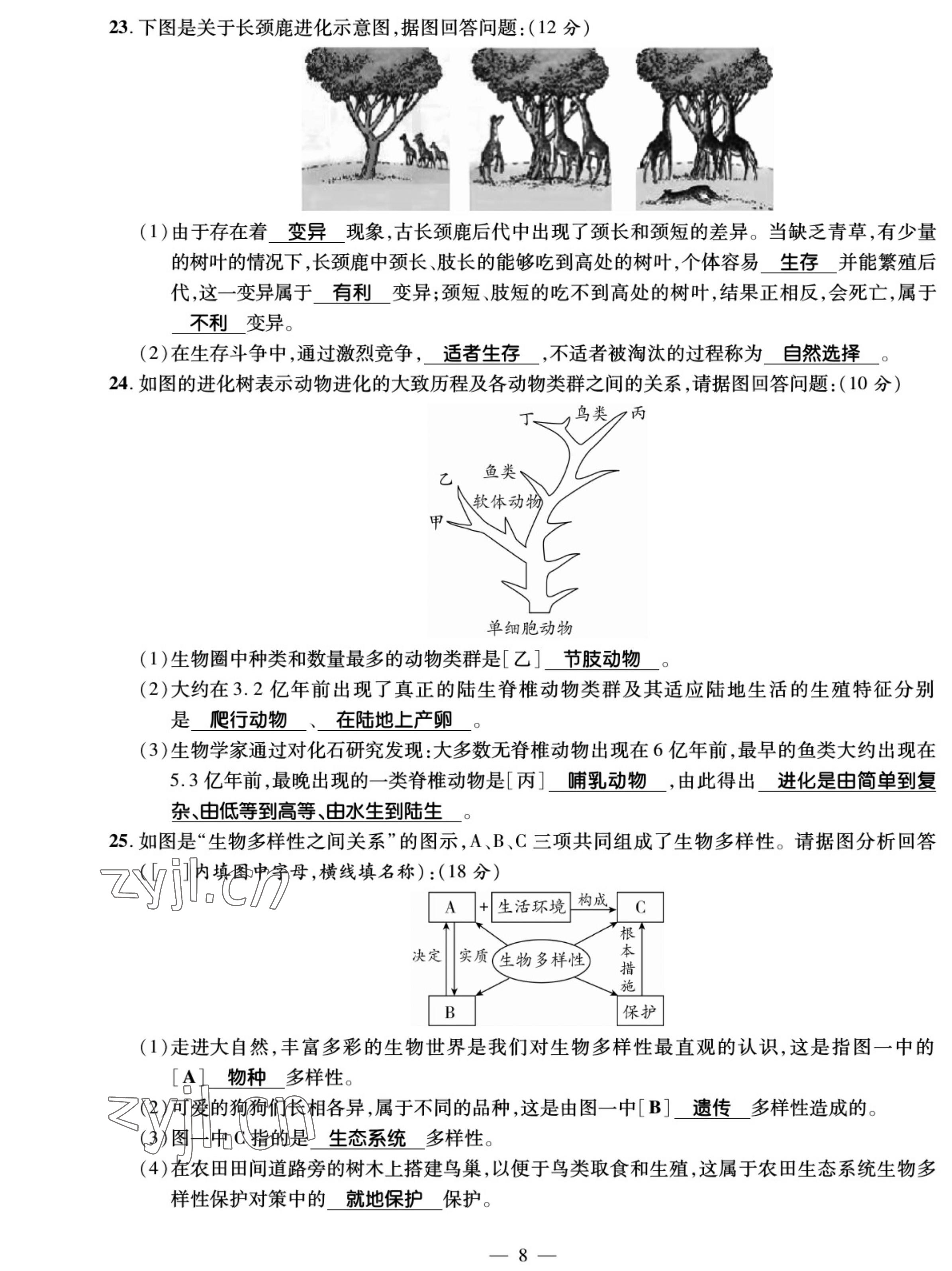 2022年我的作業(yè)八年級生物上冊蘇教版 參考答案第8頁