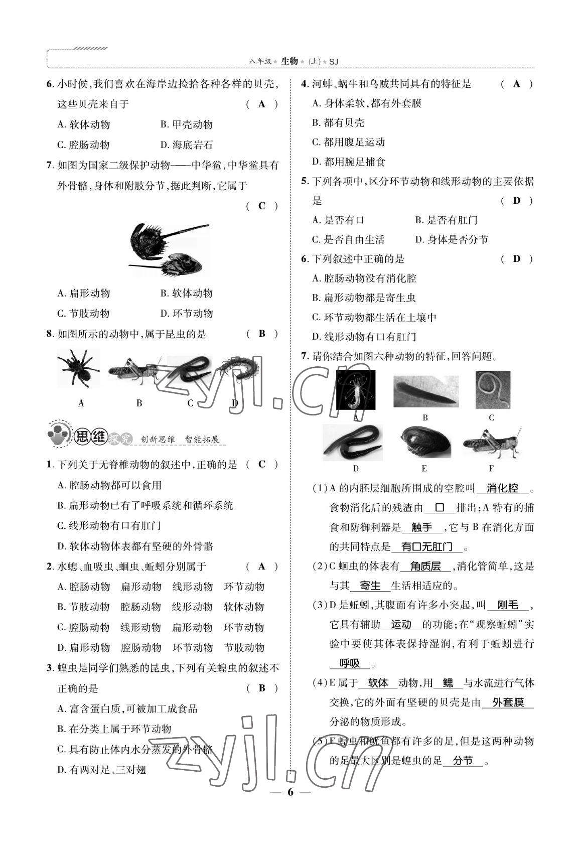 2022年我的作業(yè)八年級(jí)生物上冊(cè)蘇教版 參考答案第6頁(yè)