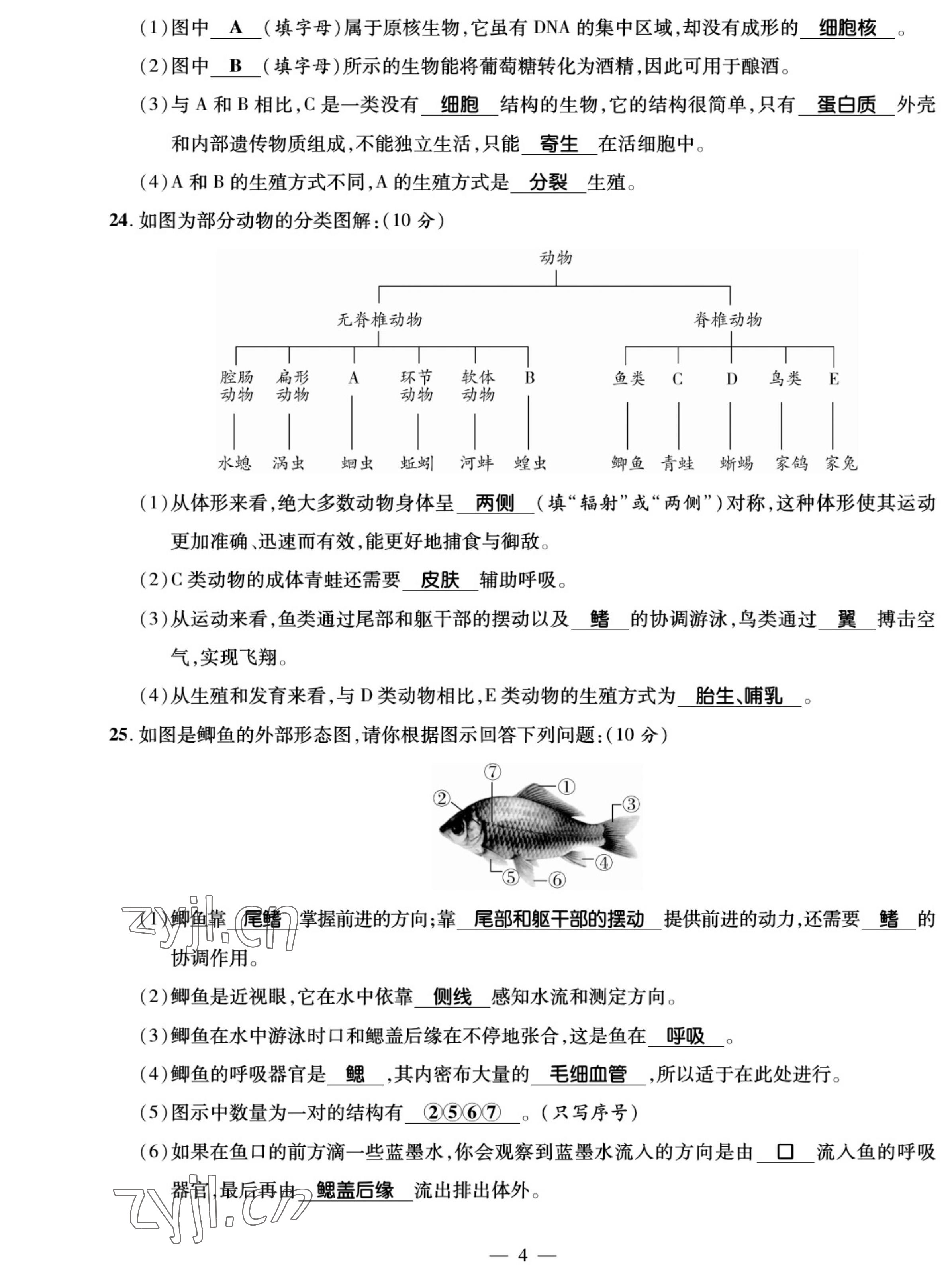 2022年我的作業(yè)八年級生物上冊蘇教版 參考答案第4頁