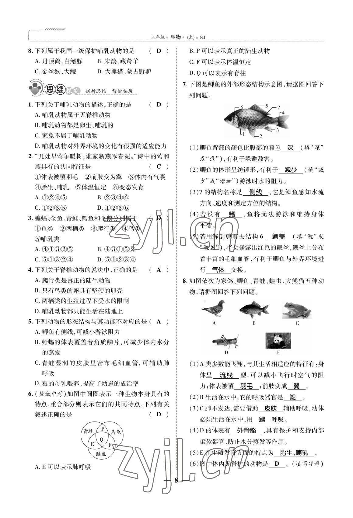 2022年我的作業(yè)八年級生物上冊蘇教版 參考答案第8頁