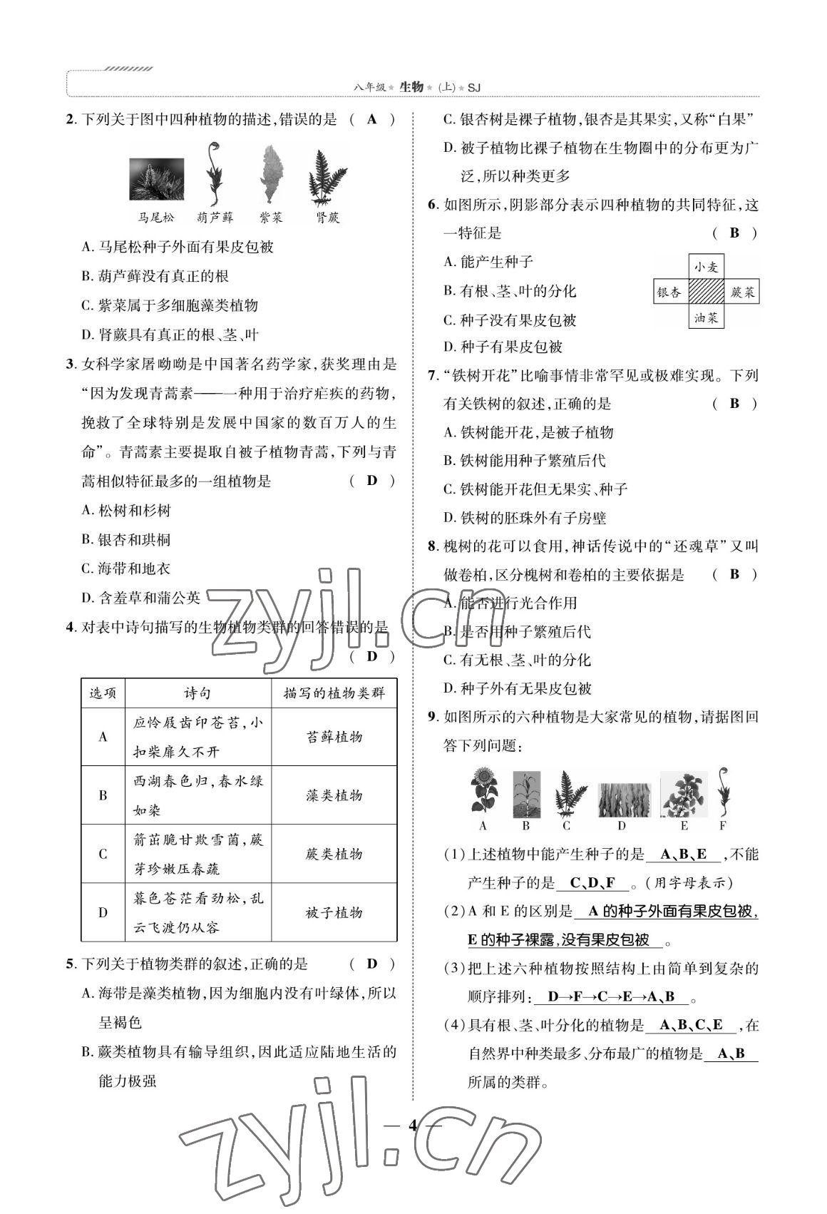 2022年我的作業(yè)八年級生物上冊蘇教版 參考答案第4頁