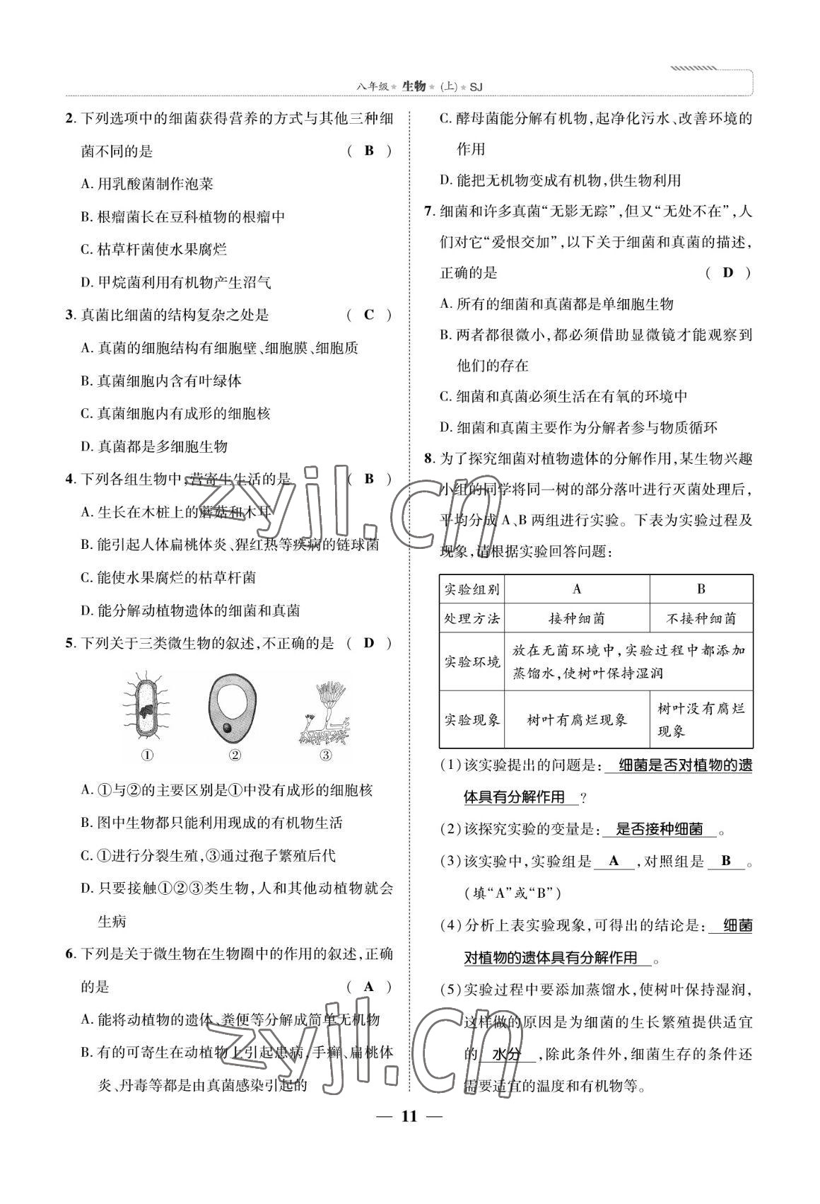 2022年我的作業(yè)八年級(jí)生物上冊(cè)蘇教版 參考答案第11頁