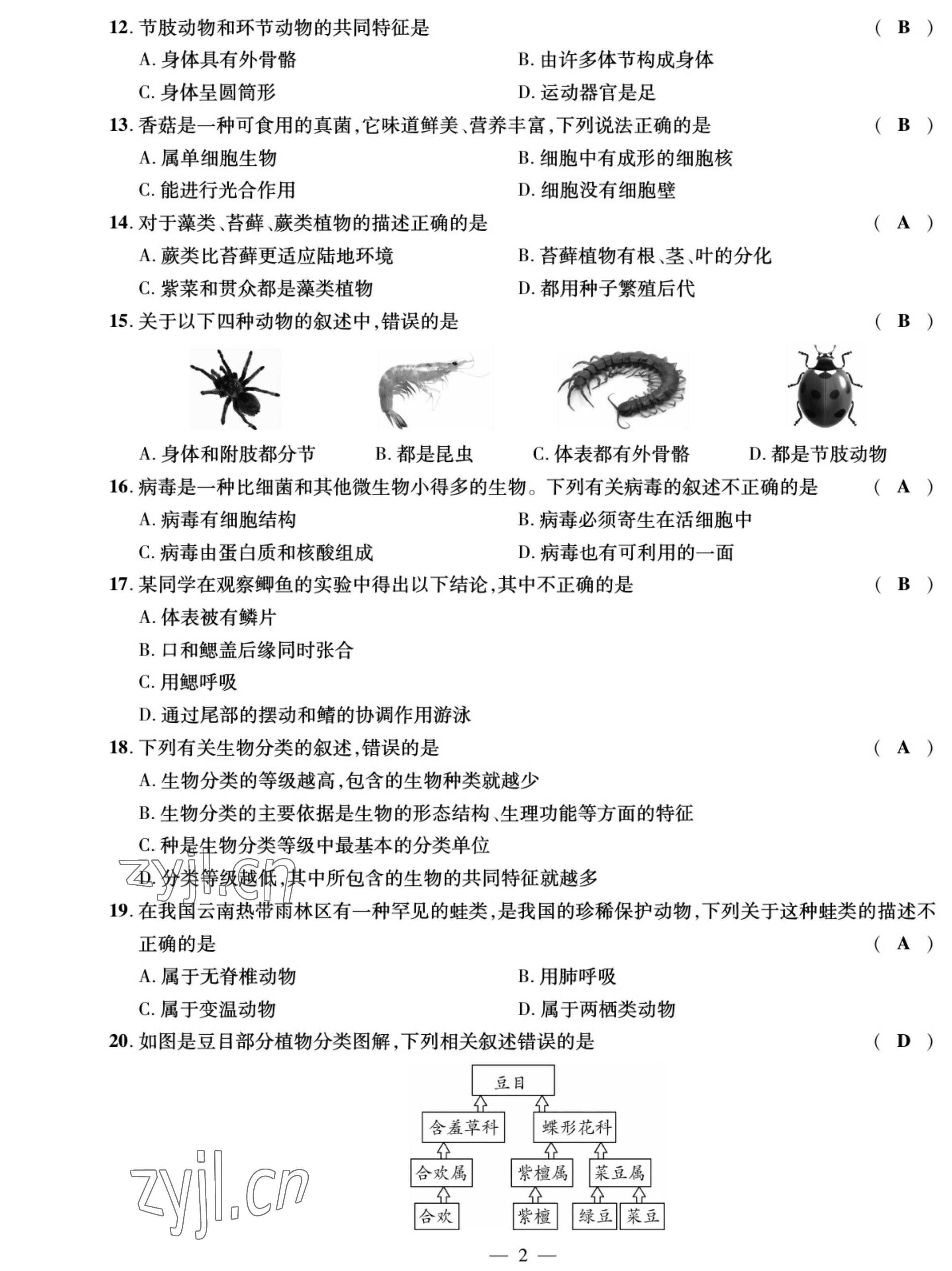 2022年我的作业八年级生物上册苏教版 参考答案第2页