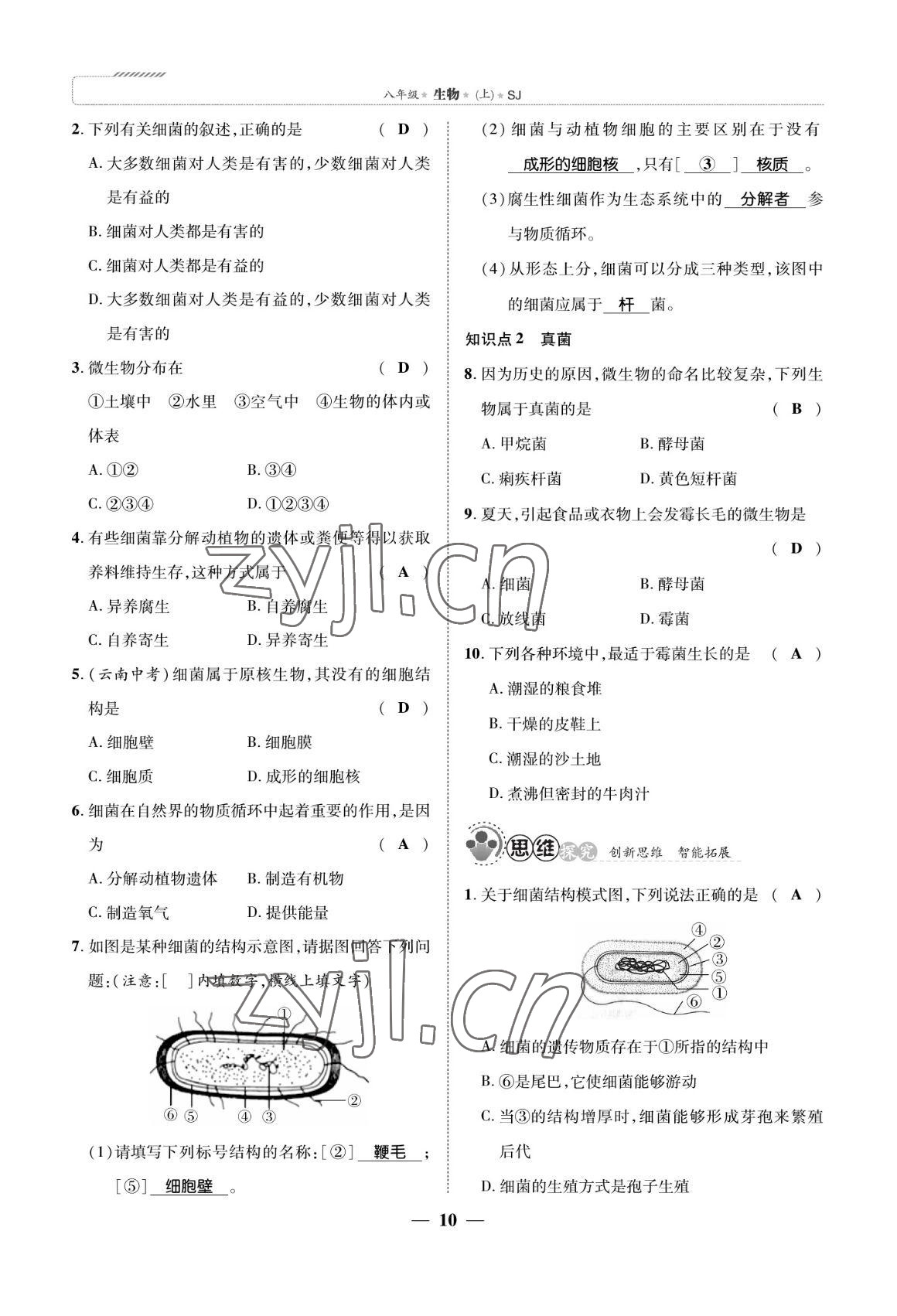 2022年我的作業(yè)八年級(jí)生物上冊(cè)蘇教版 參考答案第10頁(yè)