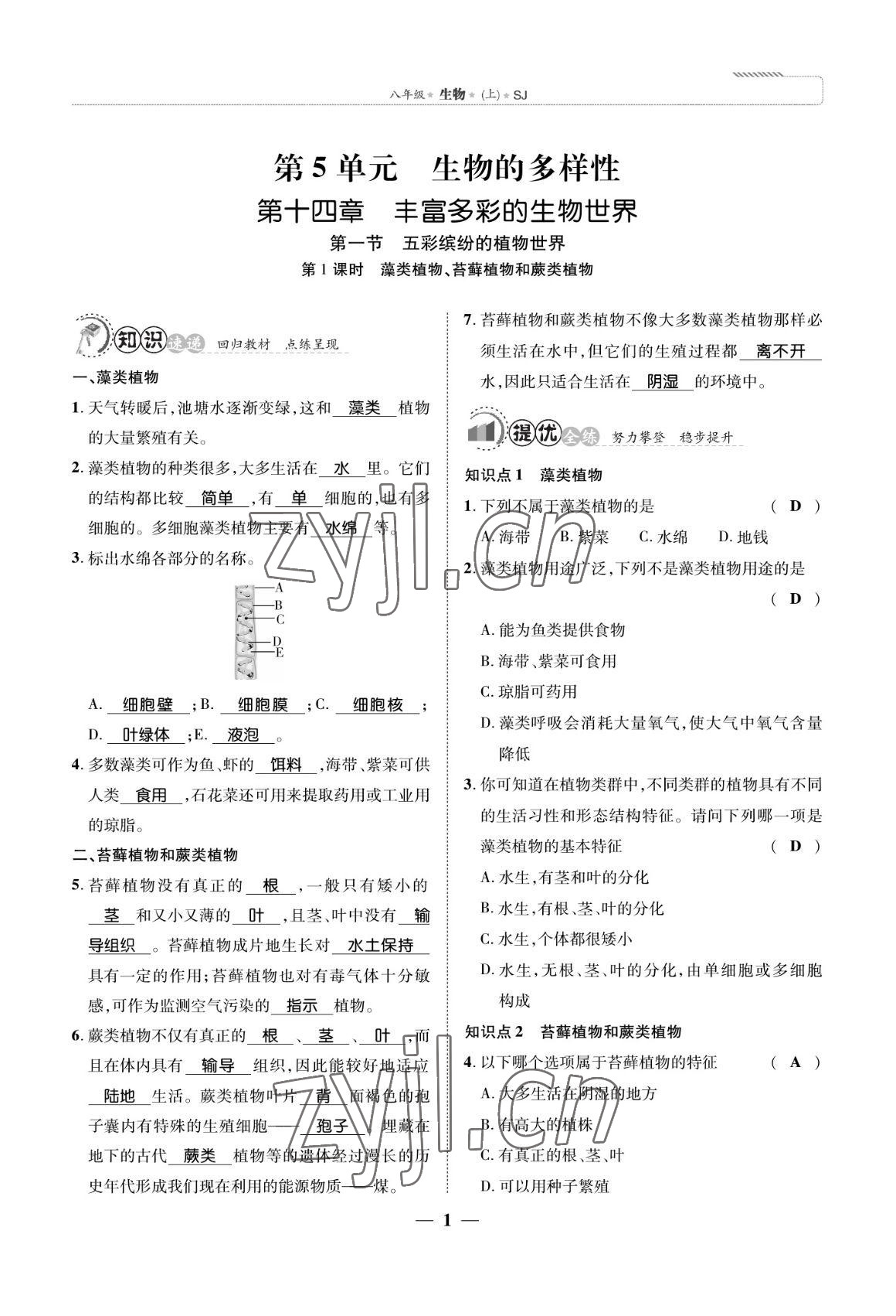 2022年我的作业八年级生物上册苏教版 参考答案第1页