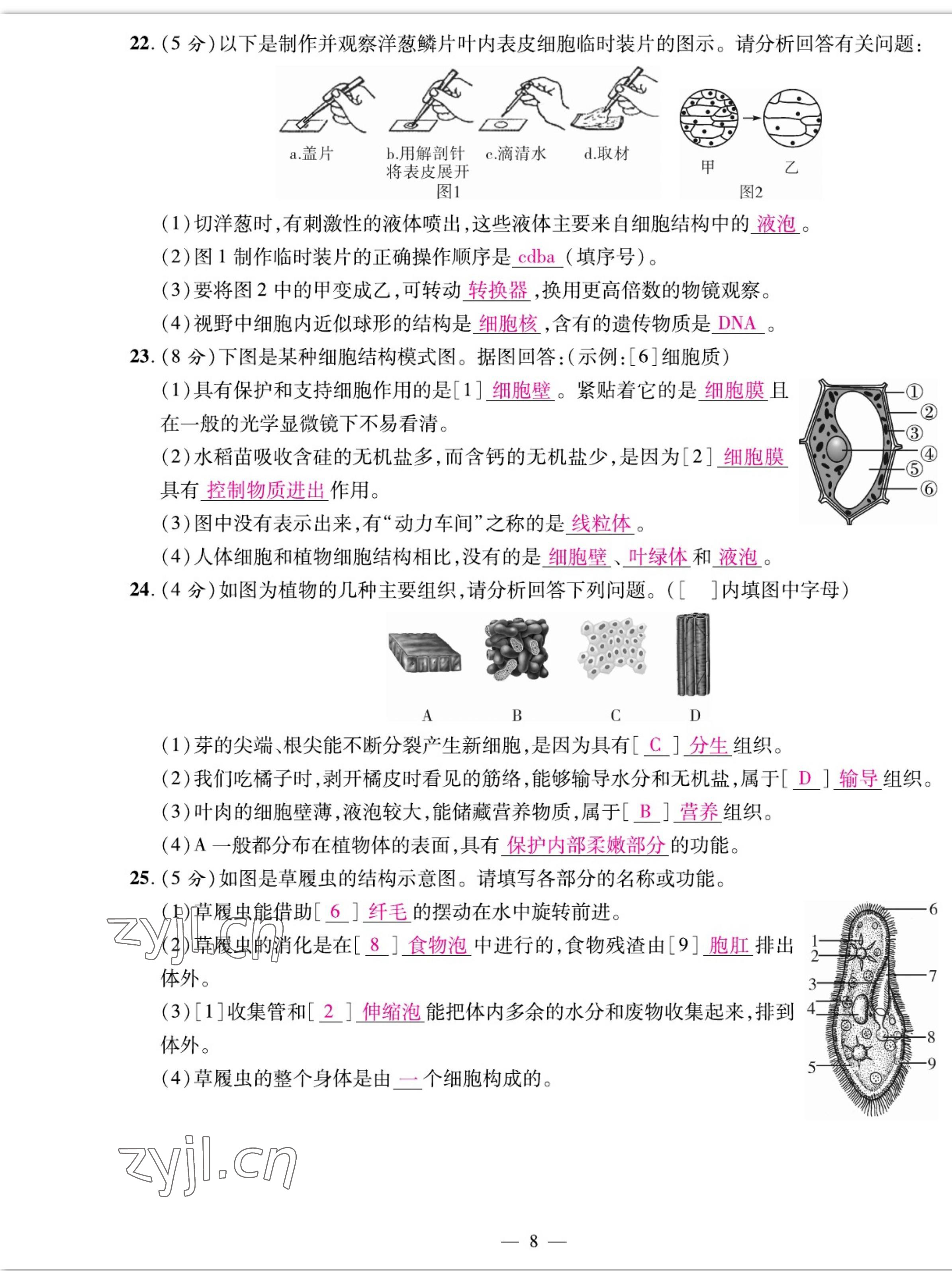 2022年我的作業(yè)七年級(jí)生物上冊(cè)人教版 參考答案第8頁(yè)