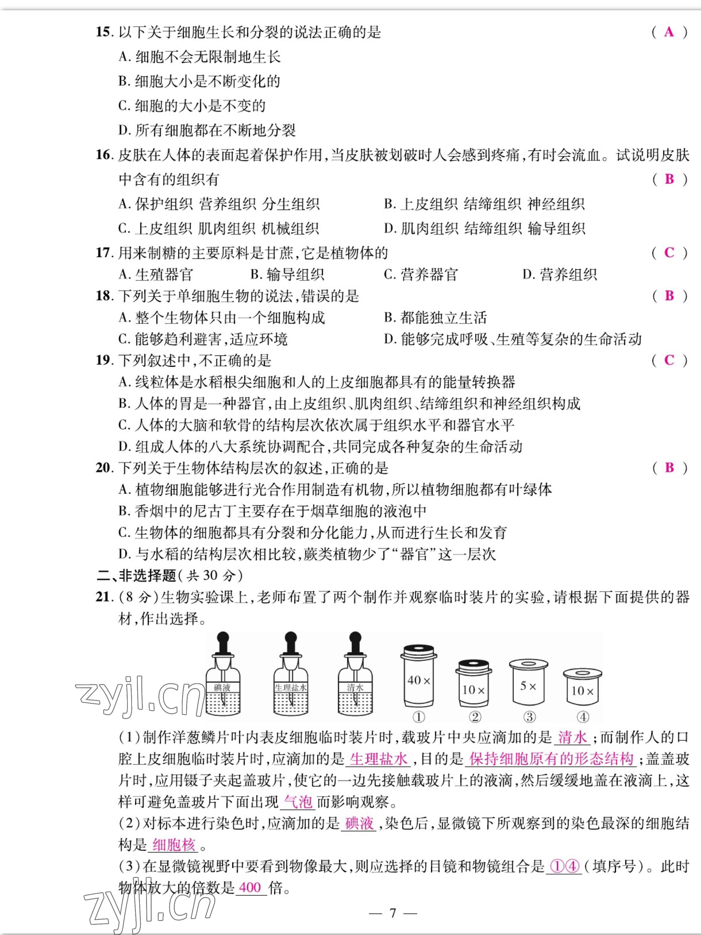 2022年我的作業(yè)七年級(jí)生物上冊(cè)人教版 參考答案第7頁(yè)