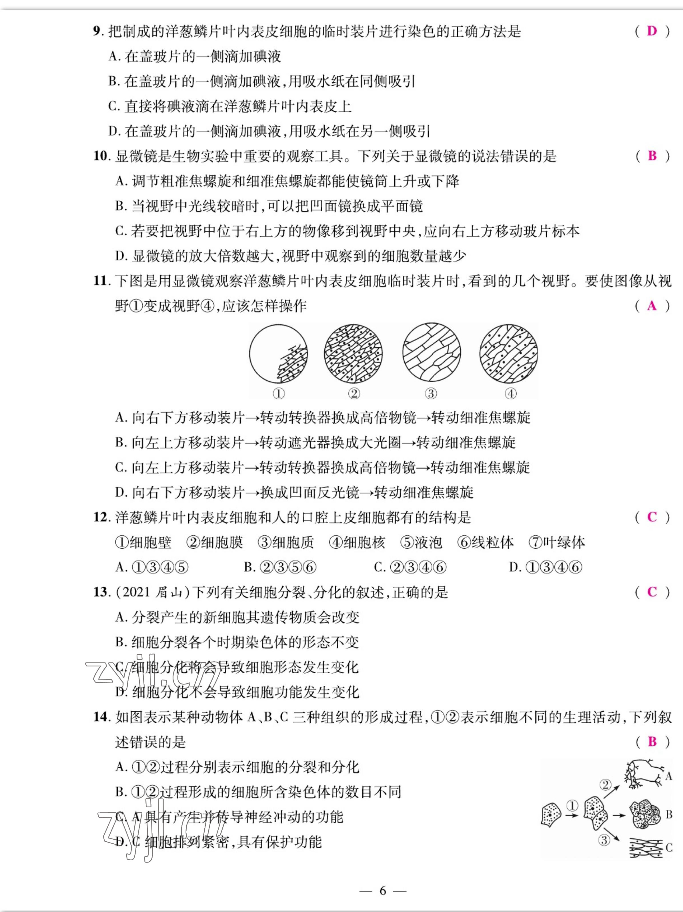 2022年我的作業(yè)七年級生物上冊人教版 參考答案第6頁