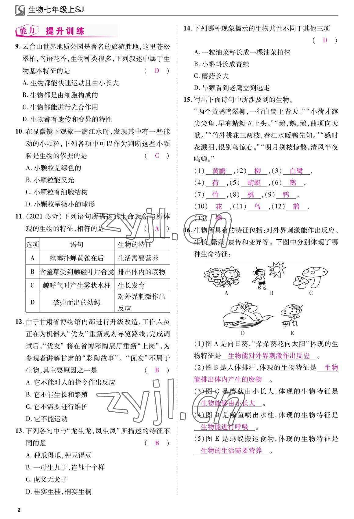 2022年我的作業(yè)七年級(jí)生物上冊(cè)蘇教版 參考答案第2頁(yè)