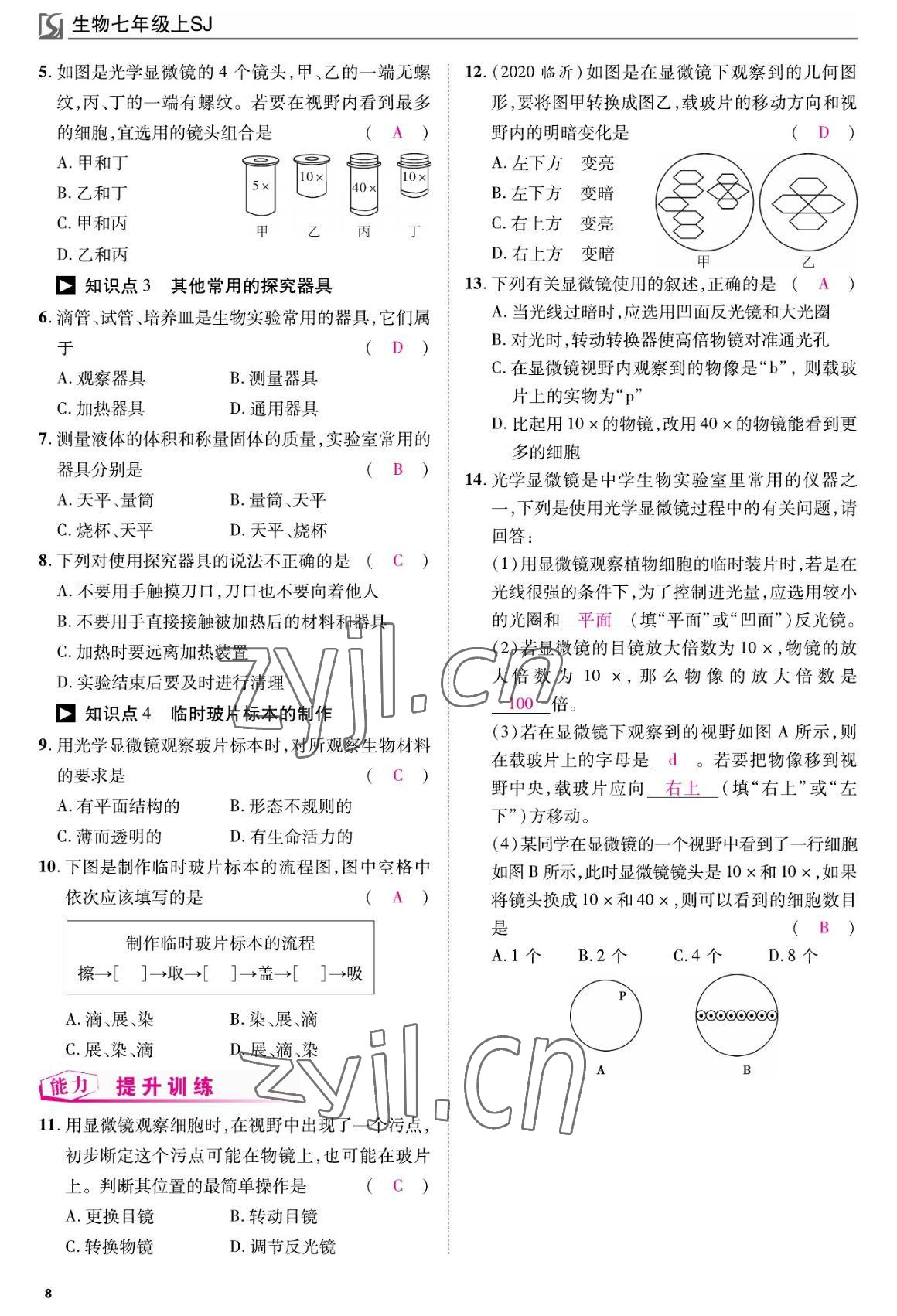 2022年我的作业七年级生物上册苏教版 参考答案第8页