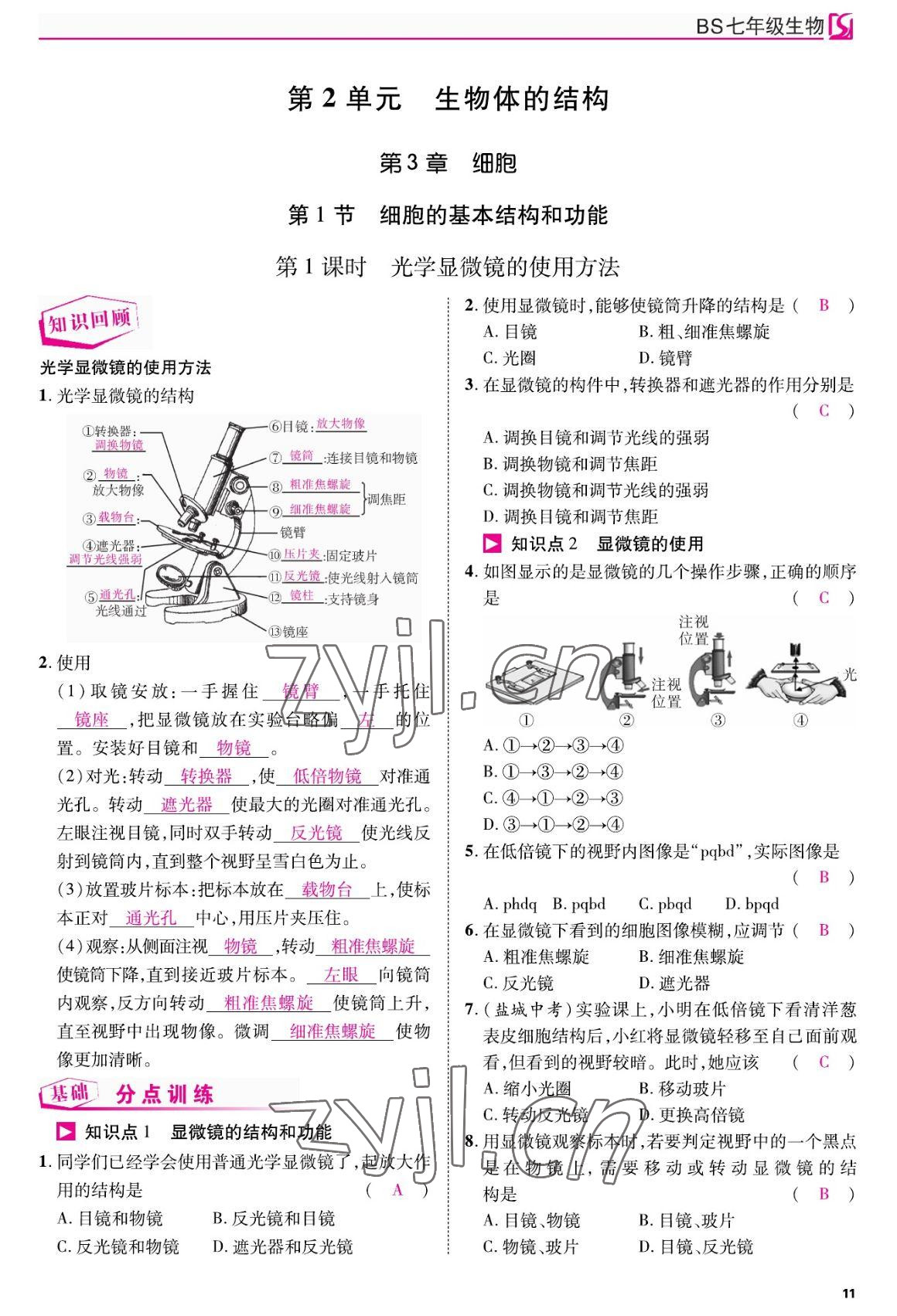 2022年我的作業(yè)七年級生物上冊北師大版 參考答案第11頁