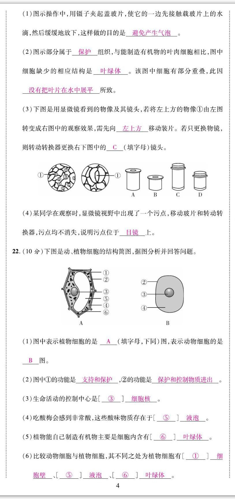 2022年我的作業(yè)七年級(jí)生物上冊(cè)北師大版 第11頁(yè)