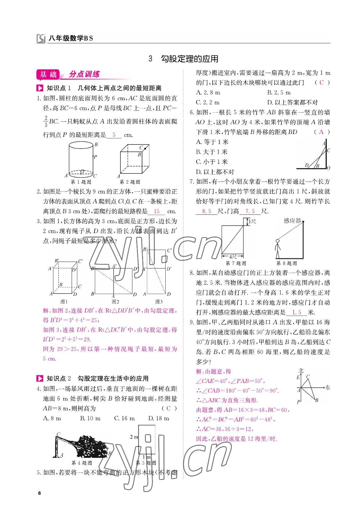 2022年我的作業(yè)八年級(jí)數(shù)學(xué)上冊(cè)北師大版 參考答案第6頁