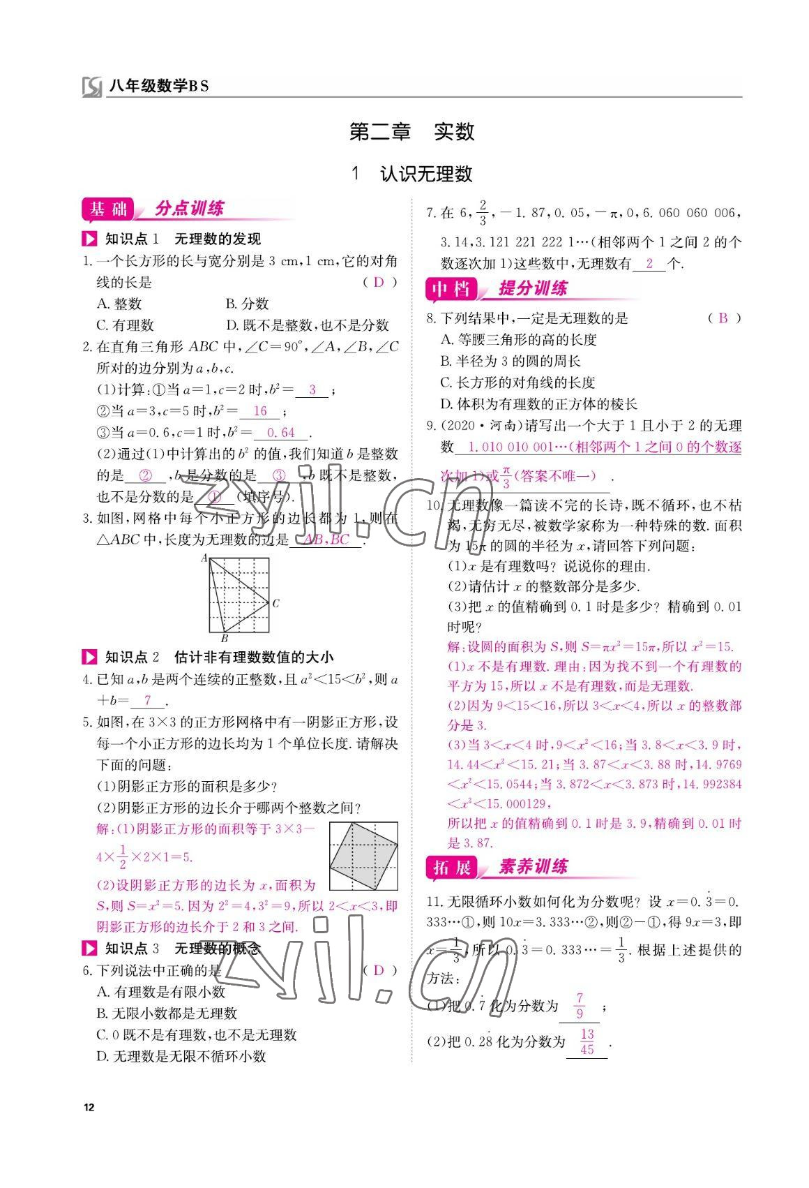 2022年我的作業(yè)八年級(jí)數(shù)學(xué)上冊(cè)北師大版 參考答案第12頁