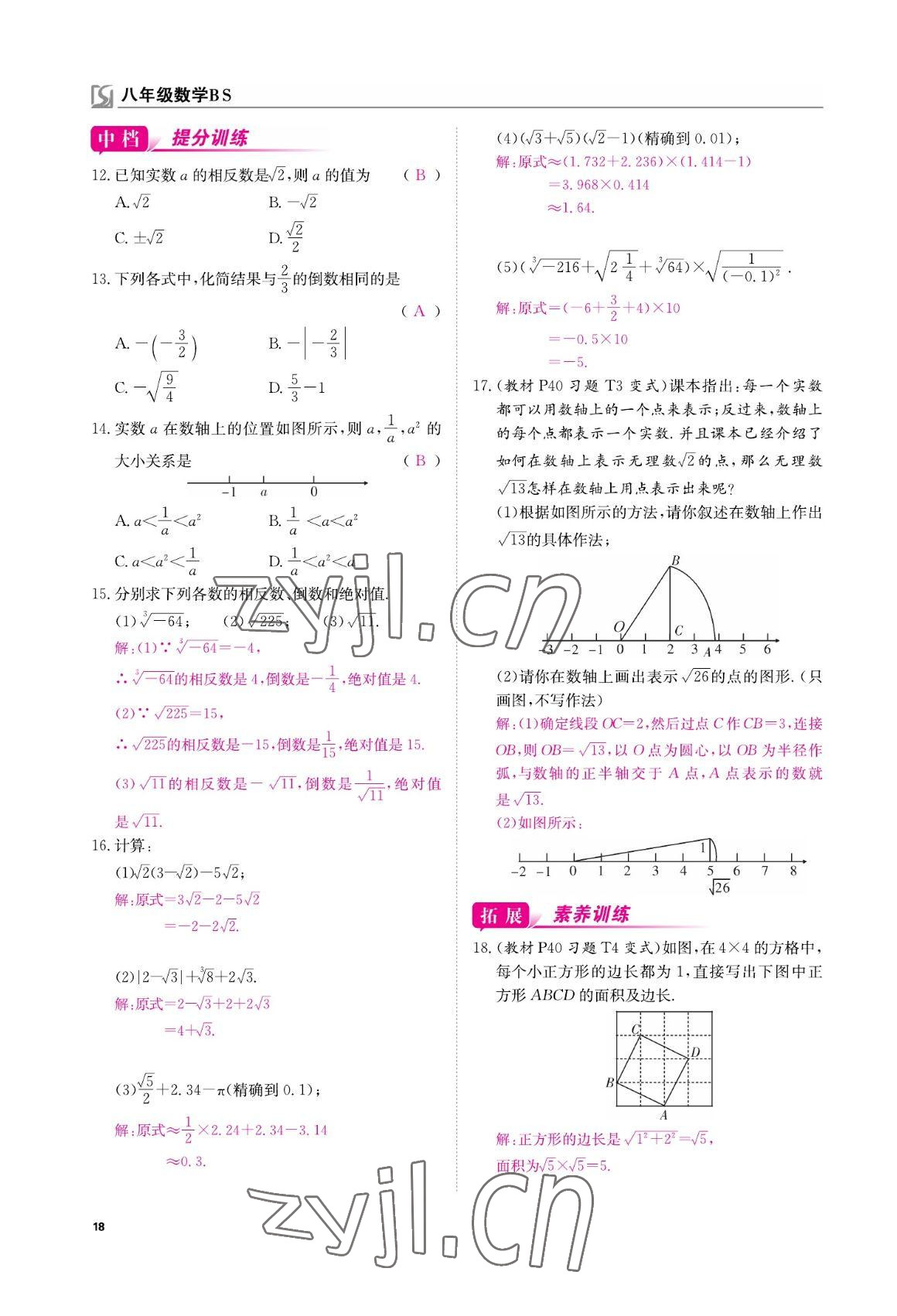 2022年我的作業(yè)八年級數(shù)學上冊北師大版 參考答案第18頁